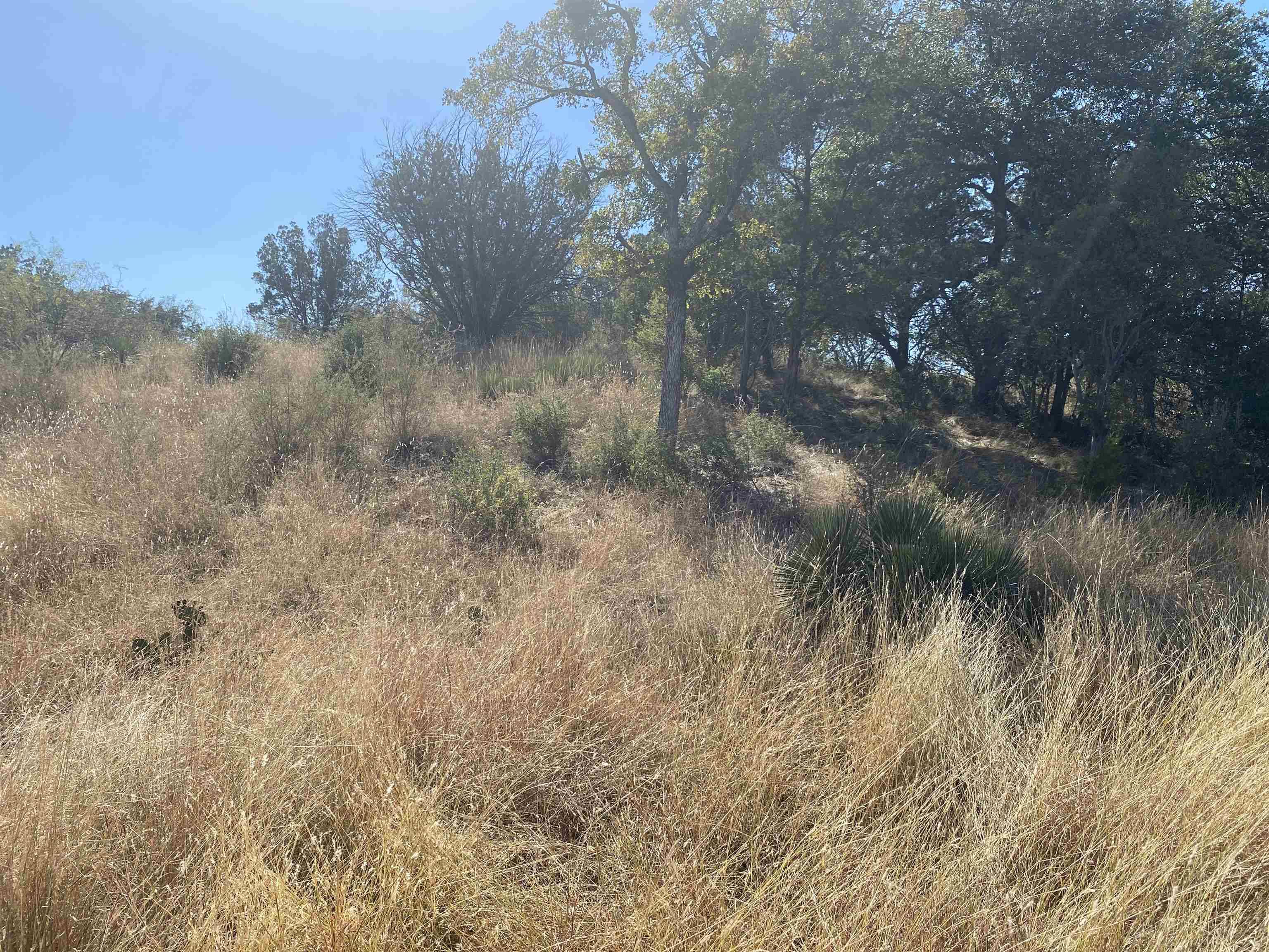 TBD Florence DR, Horseshoe Bay, TX 78657
