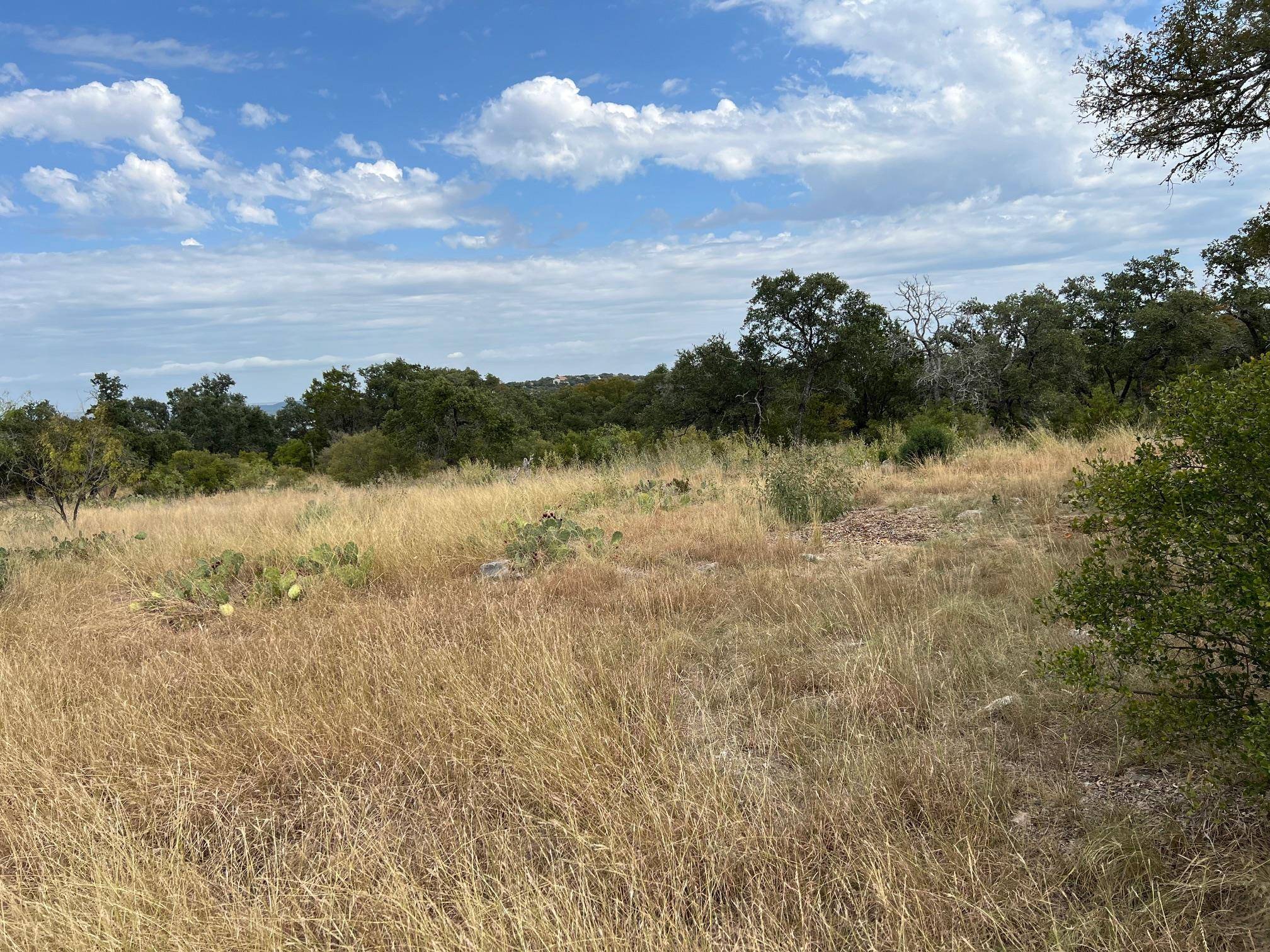 44066 Crest View, Horseshoe Bay, TX 78657