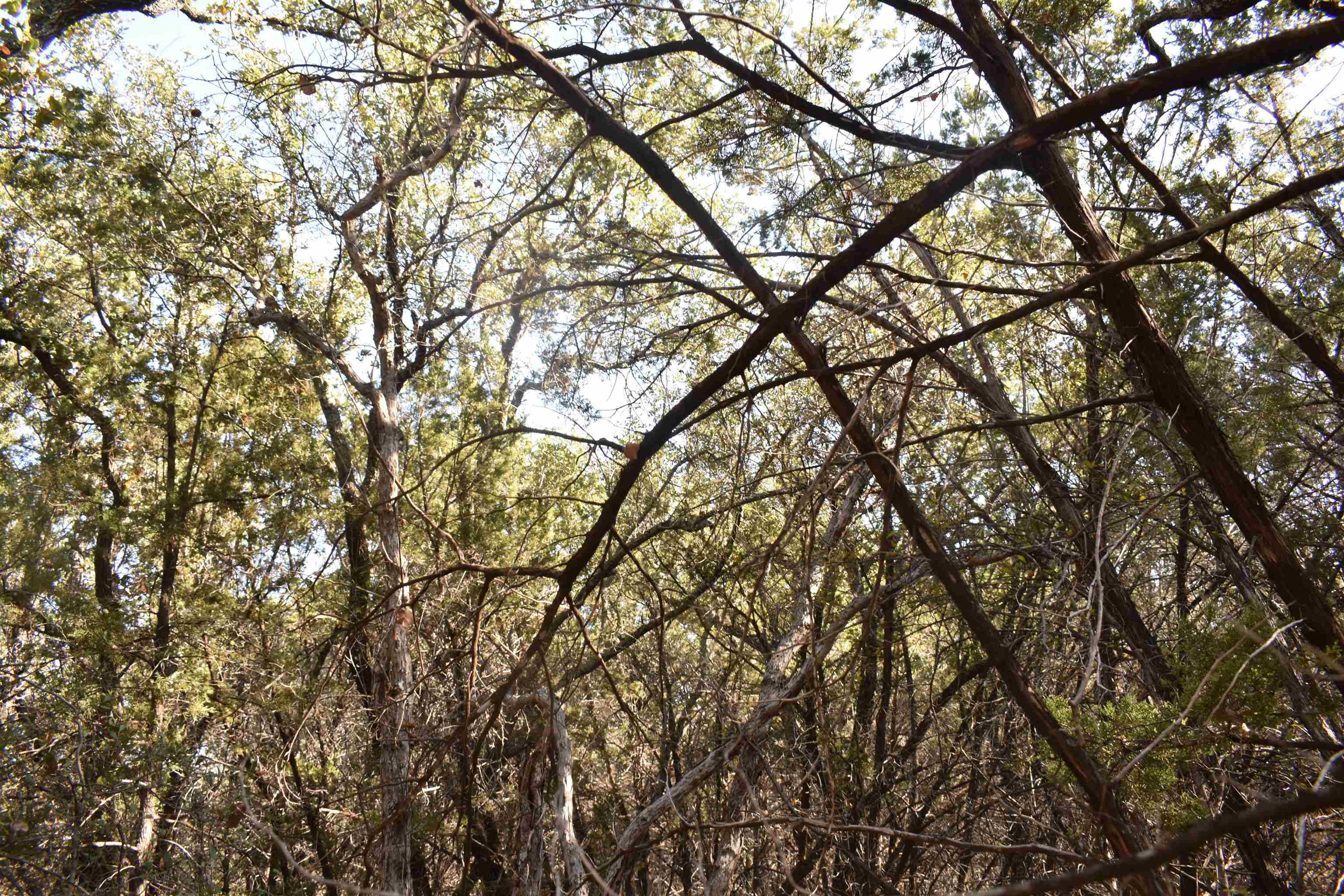 TBD Saddle Back RD, Horseshoe Bay, TX 78657