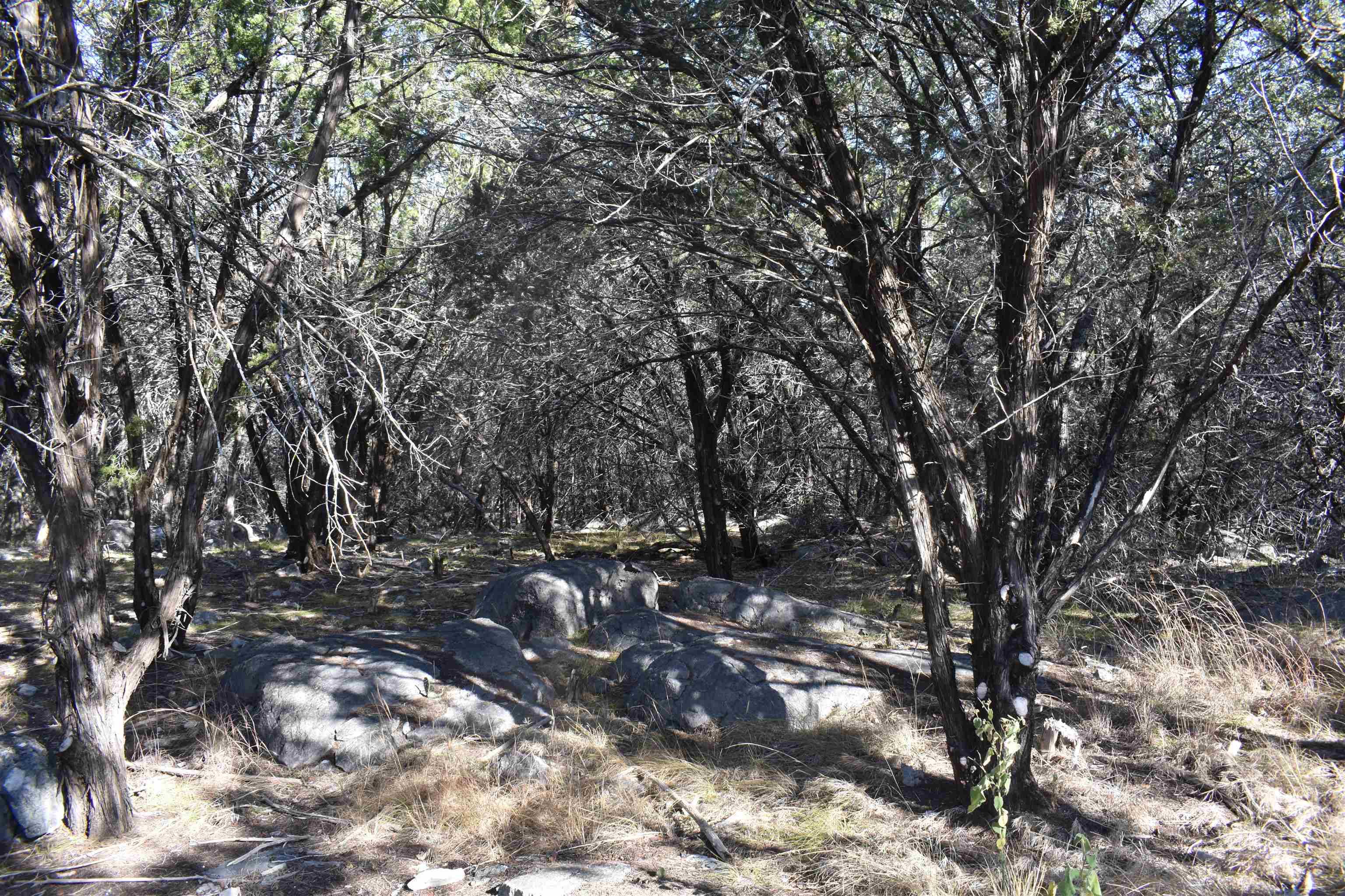 TBD Saddle Back RD, Horseshoe Bay, TX 78657