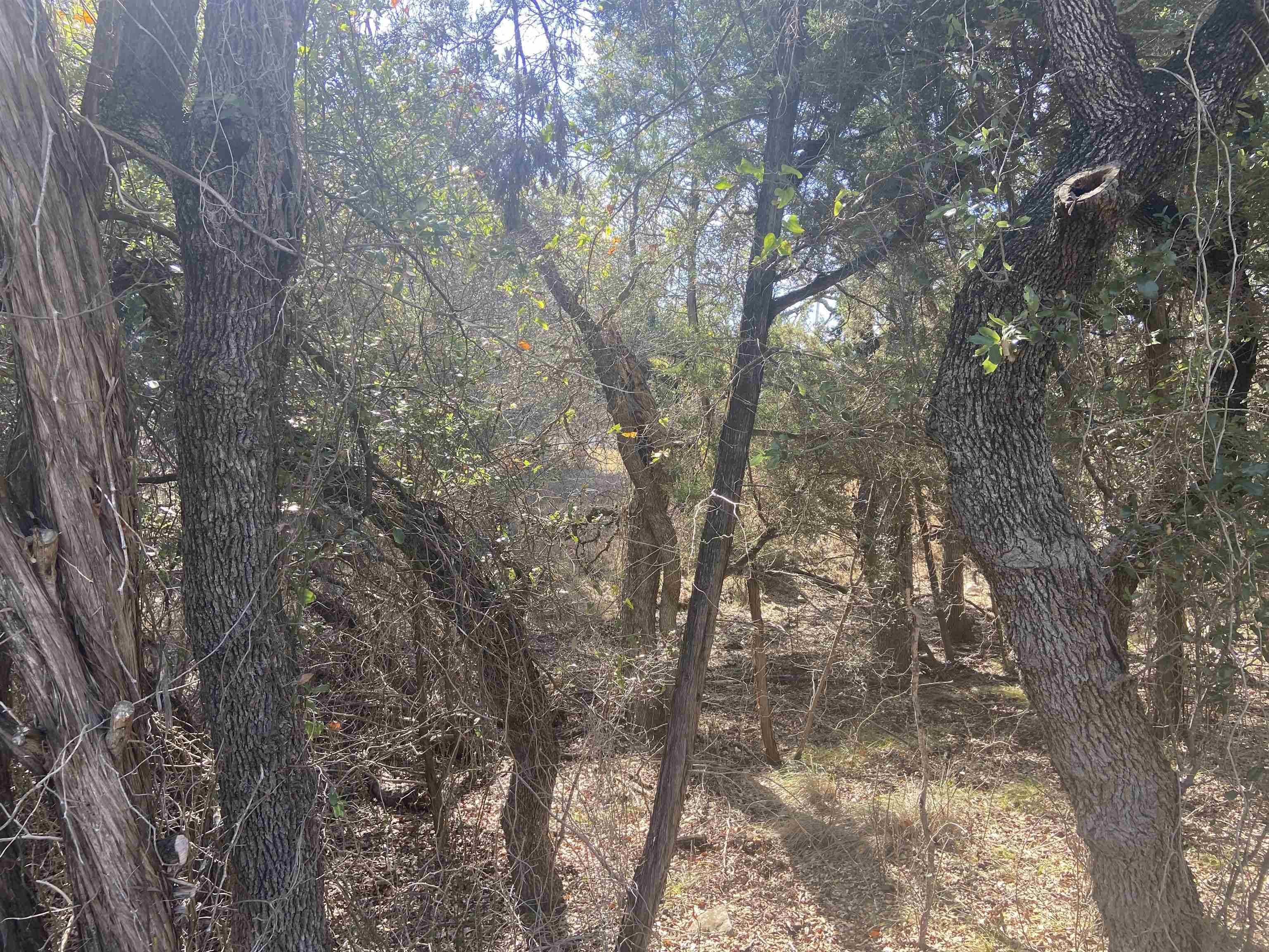 K4132 Mountain Dew, Horseshoe Bay, TX 78657-9999