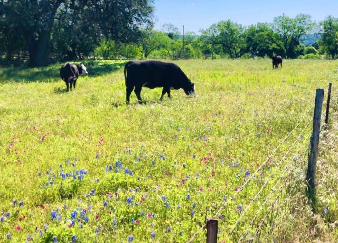 297 & 298 Elkhorn, Kingsland, TX 78639-6105