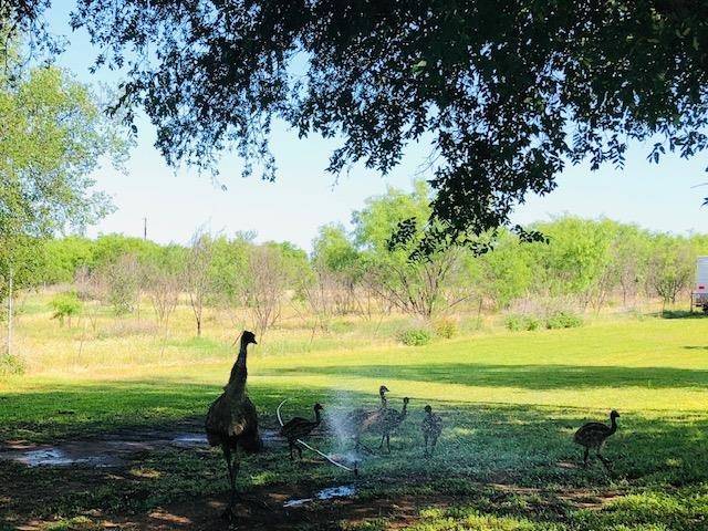 297 & 298 Elkhorn, Kingsland, TX 78639-6105