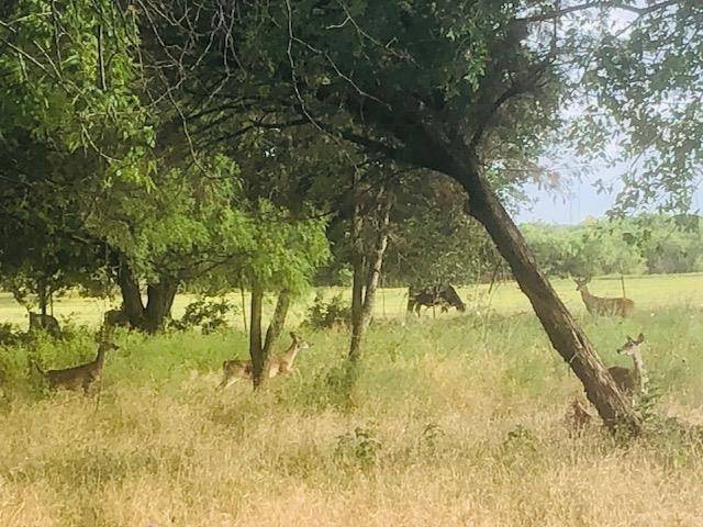 297 & 298 Elkhorn, Kingsland, TX 78639-6105