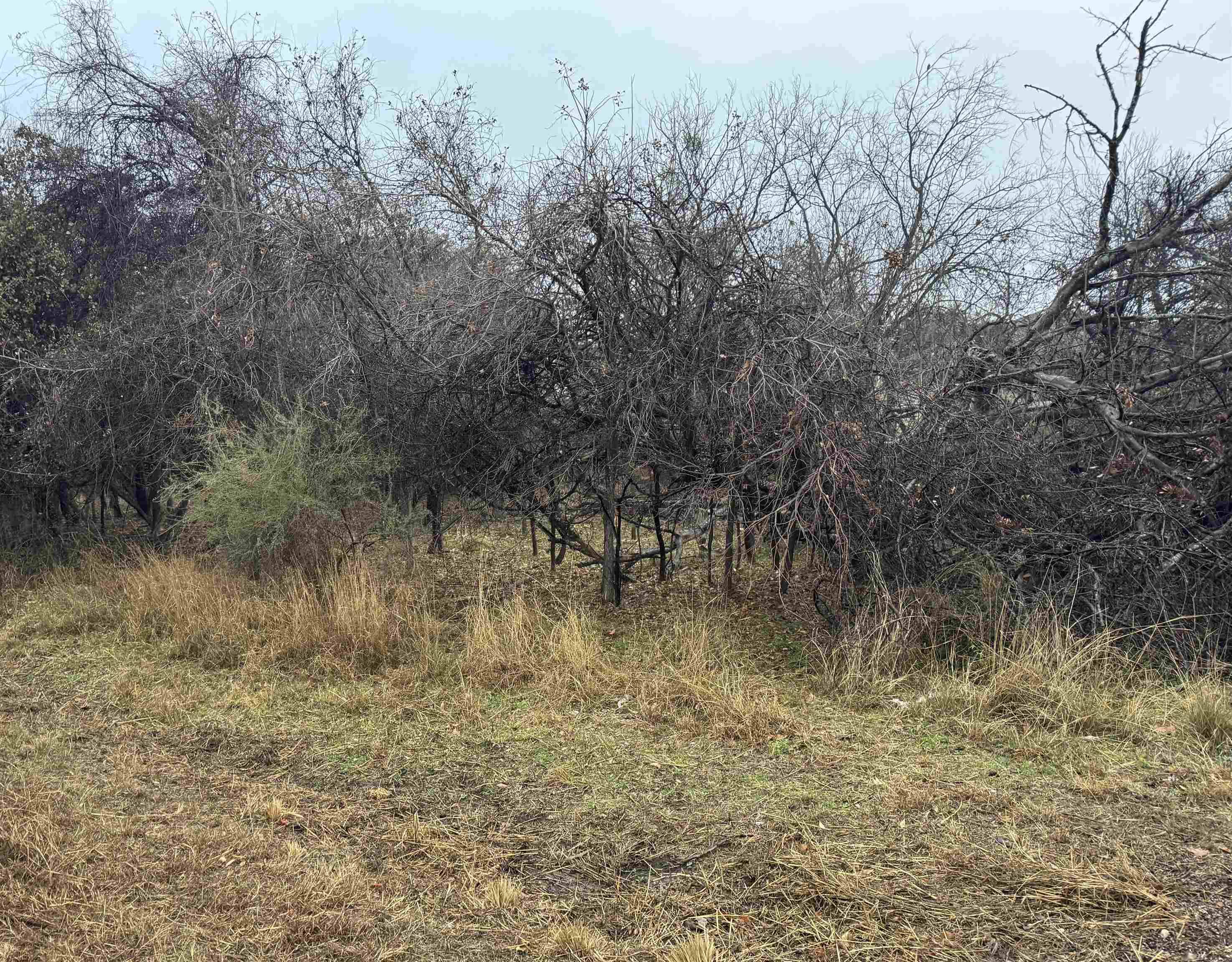 Lot 214 215 216 Northcrest DR, Granite Shoals, TX 78654