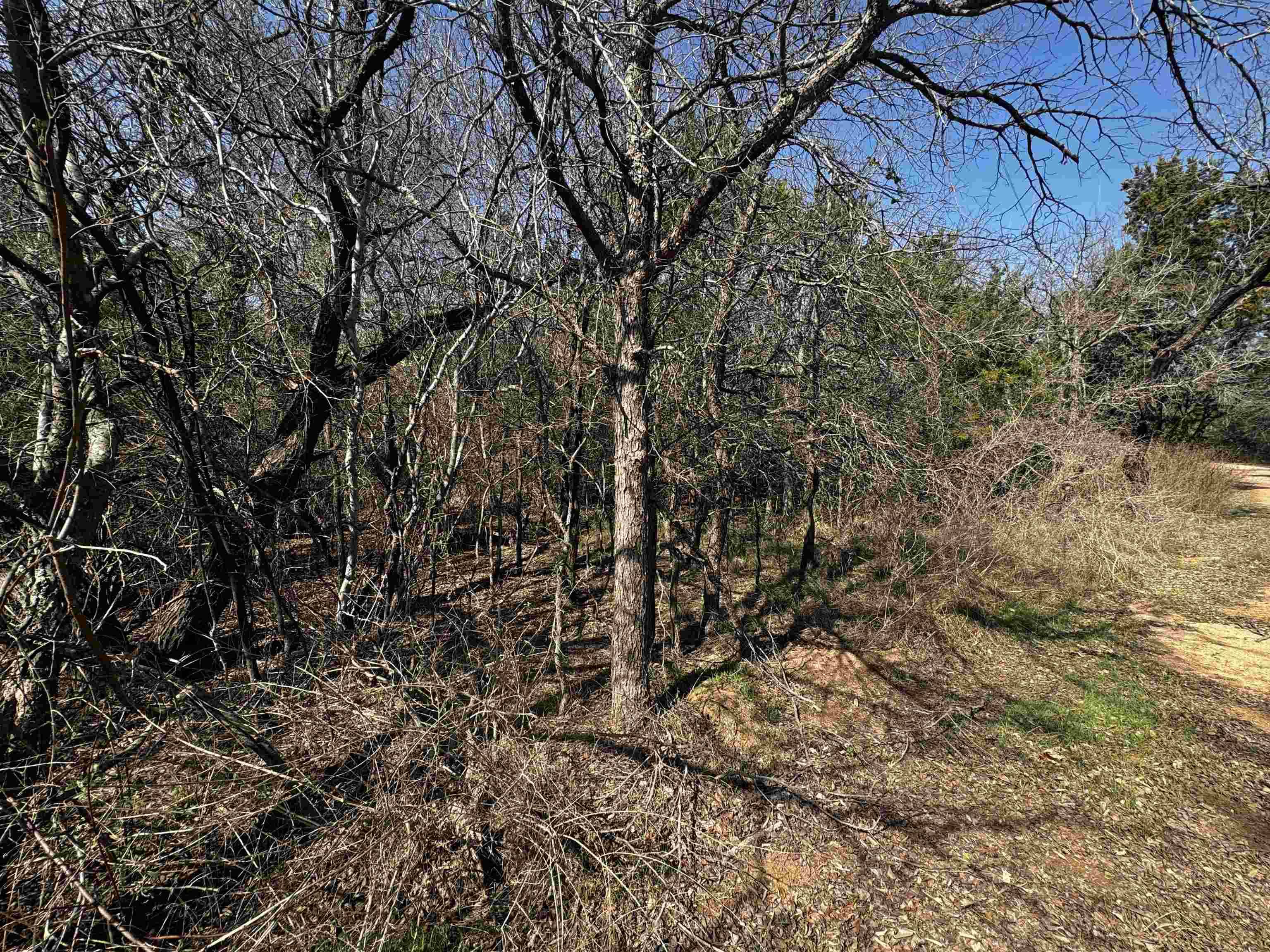 Lot 12 Longhorn Dr., Burnet, TX 78611
