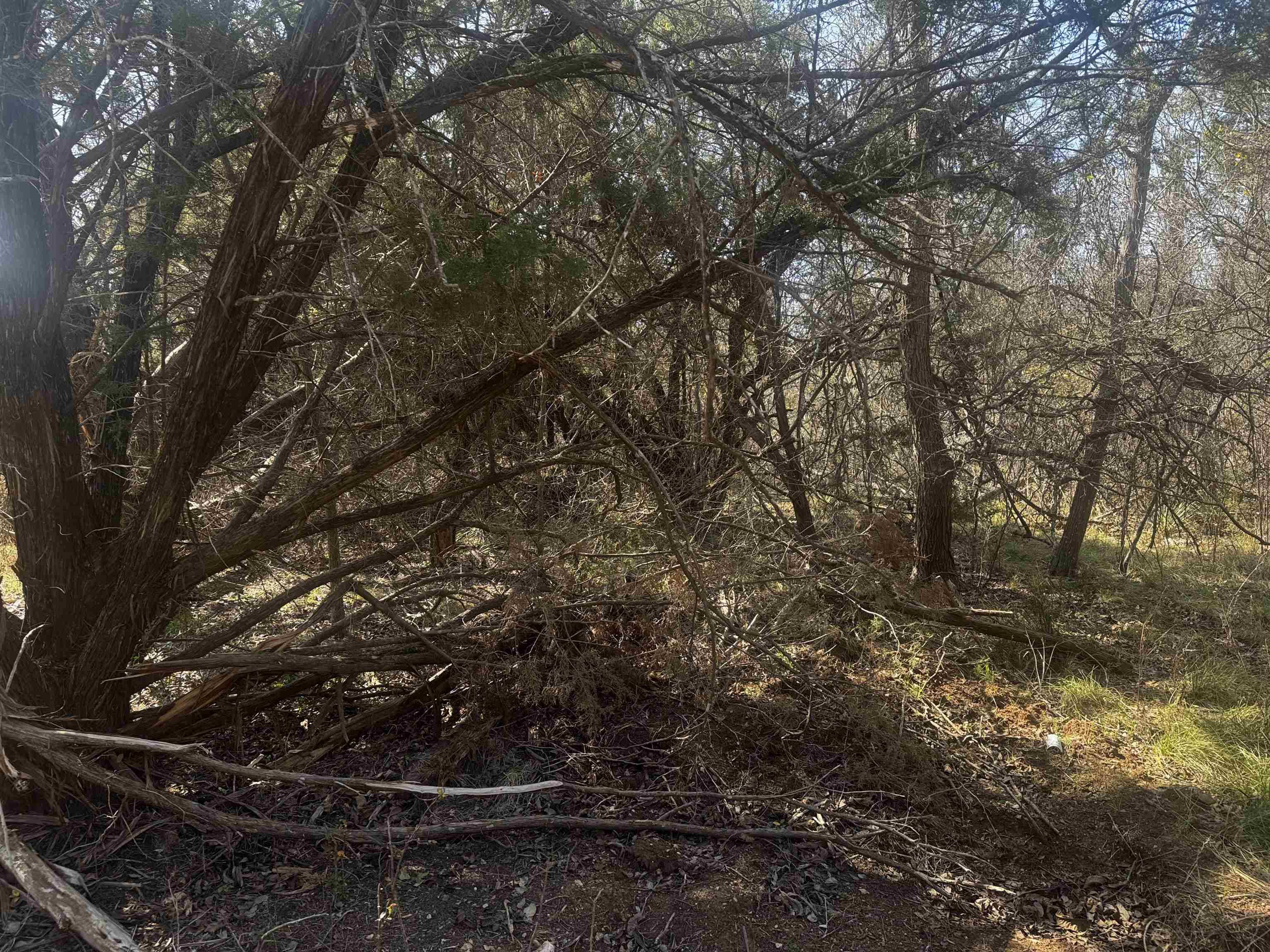 Lot 12 Longhorn Dr., Burnet, TX 78611