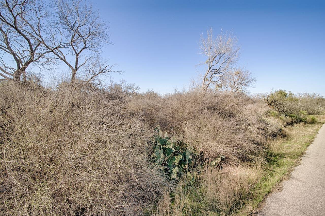 Lot 509 S Lake DR, Granite Shoals, TX 78654