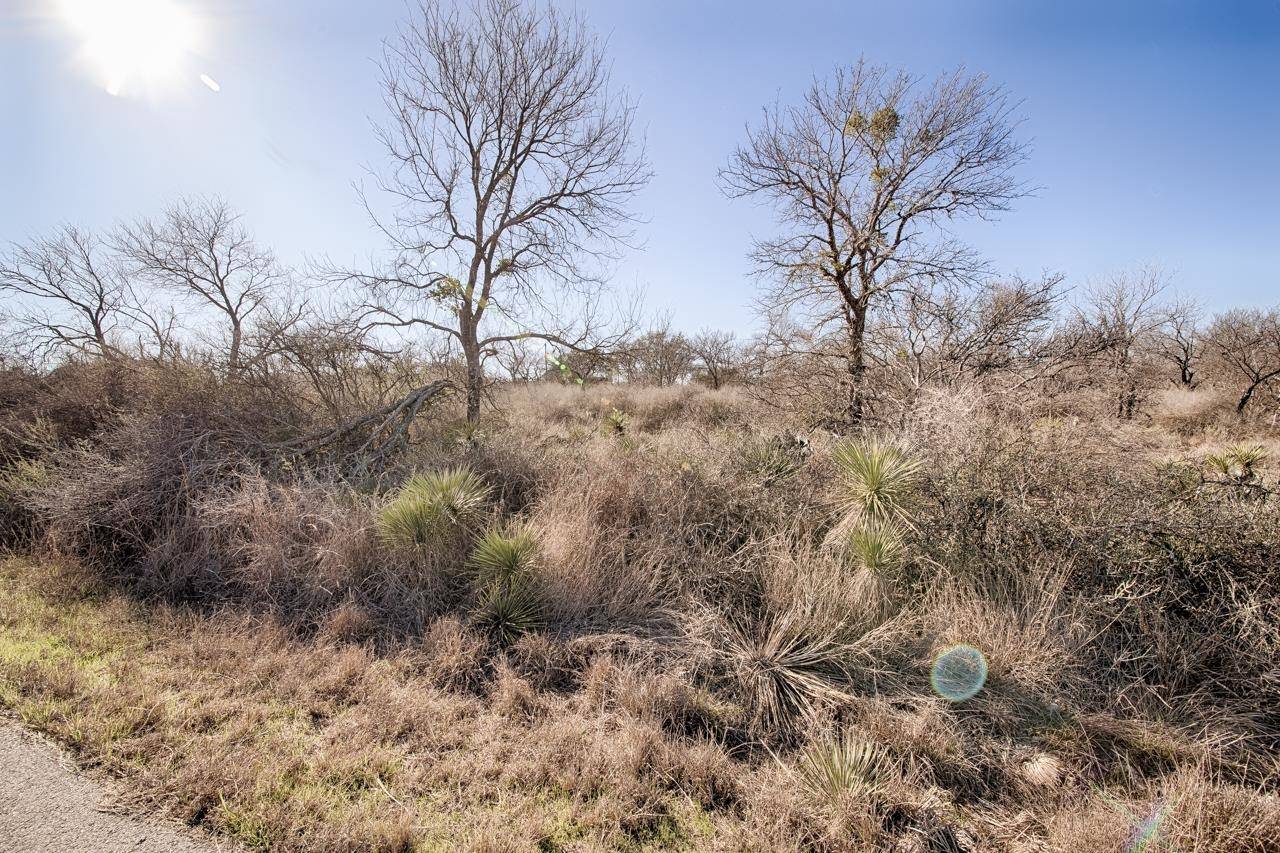 Lot 509 S Lake DR, Granite Shoals, TX 78654
