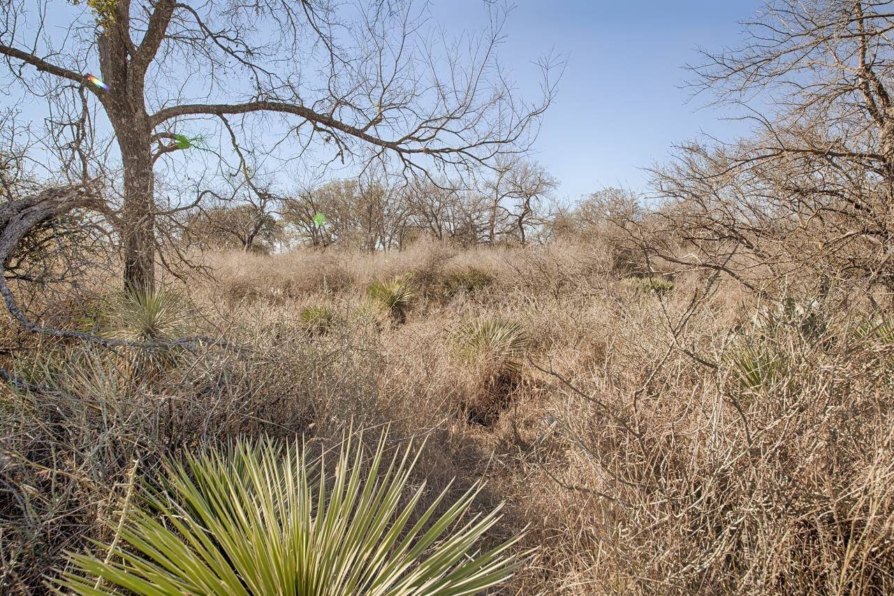 Lot 509 S Lake DR, Granite Shoals, TX 78654