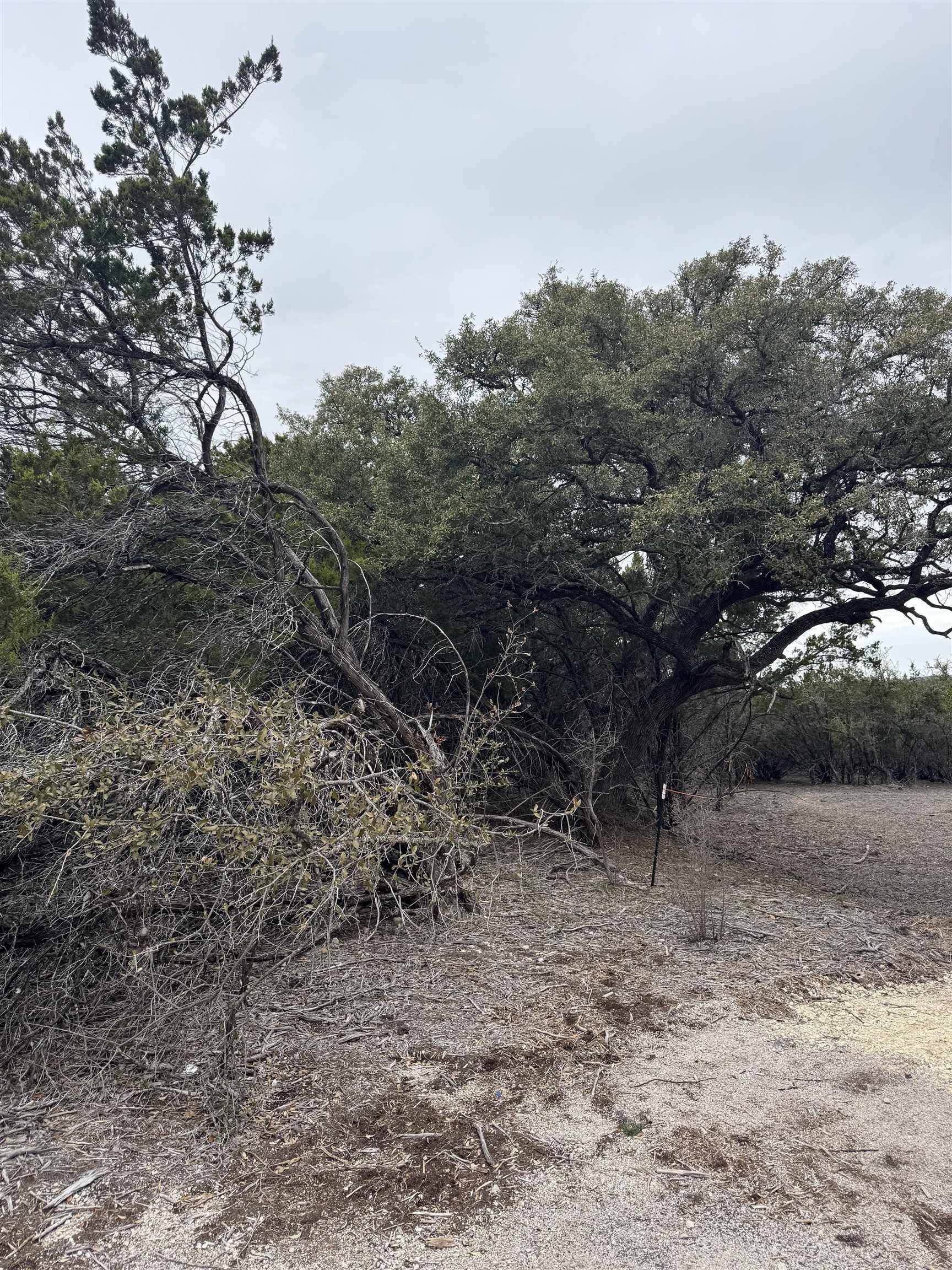 20204 Lewis CV, Lago Vista, TX 78645