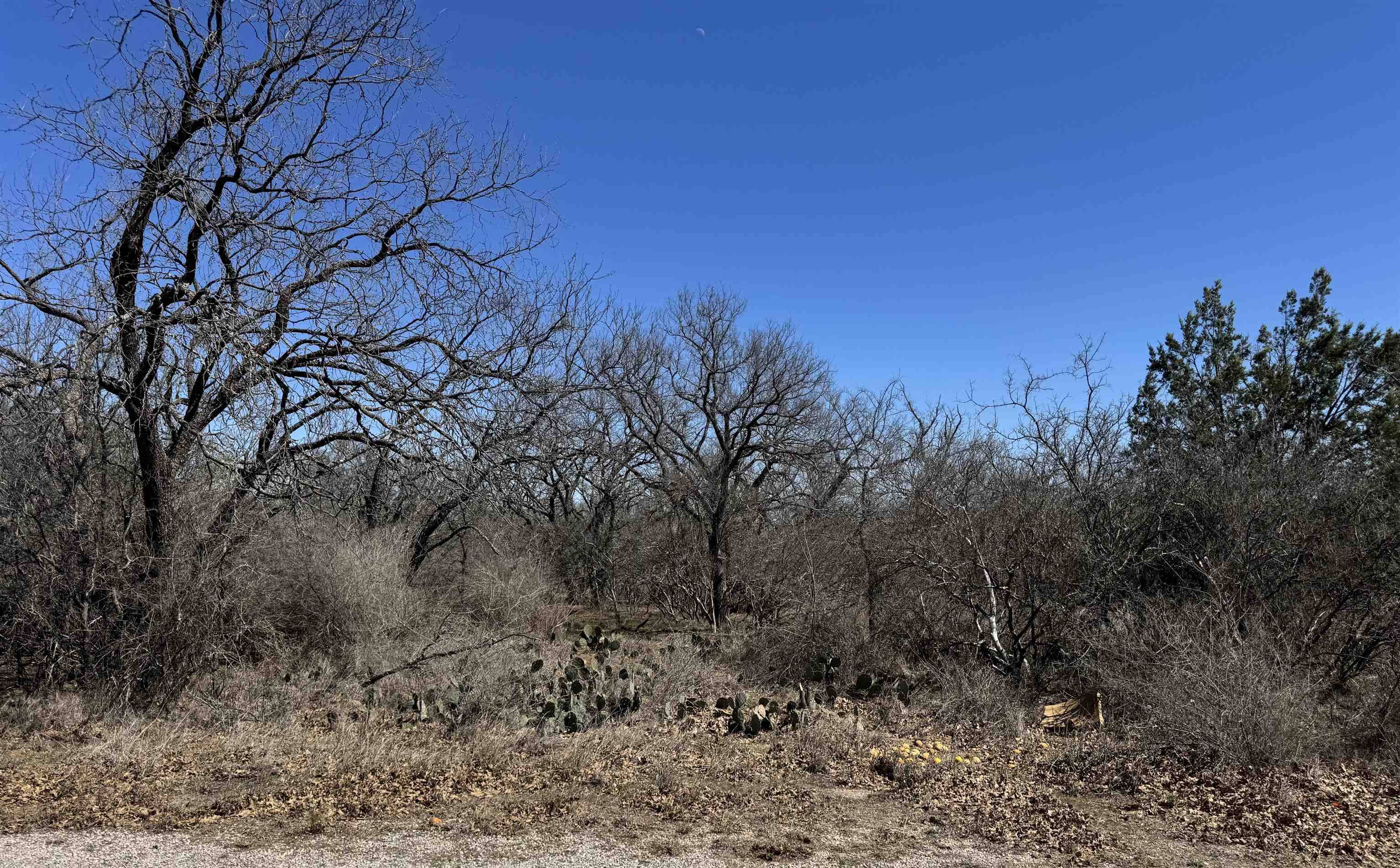 Lot 218 Western DR, Kingsland, TX 78639