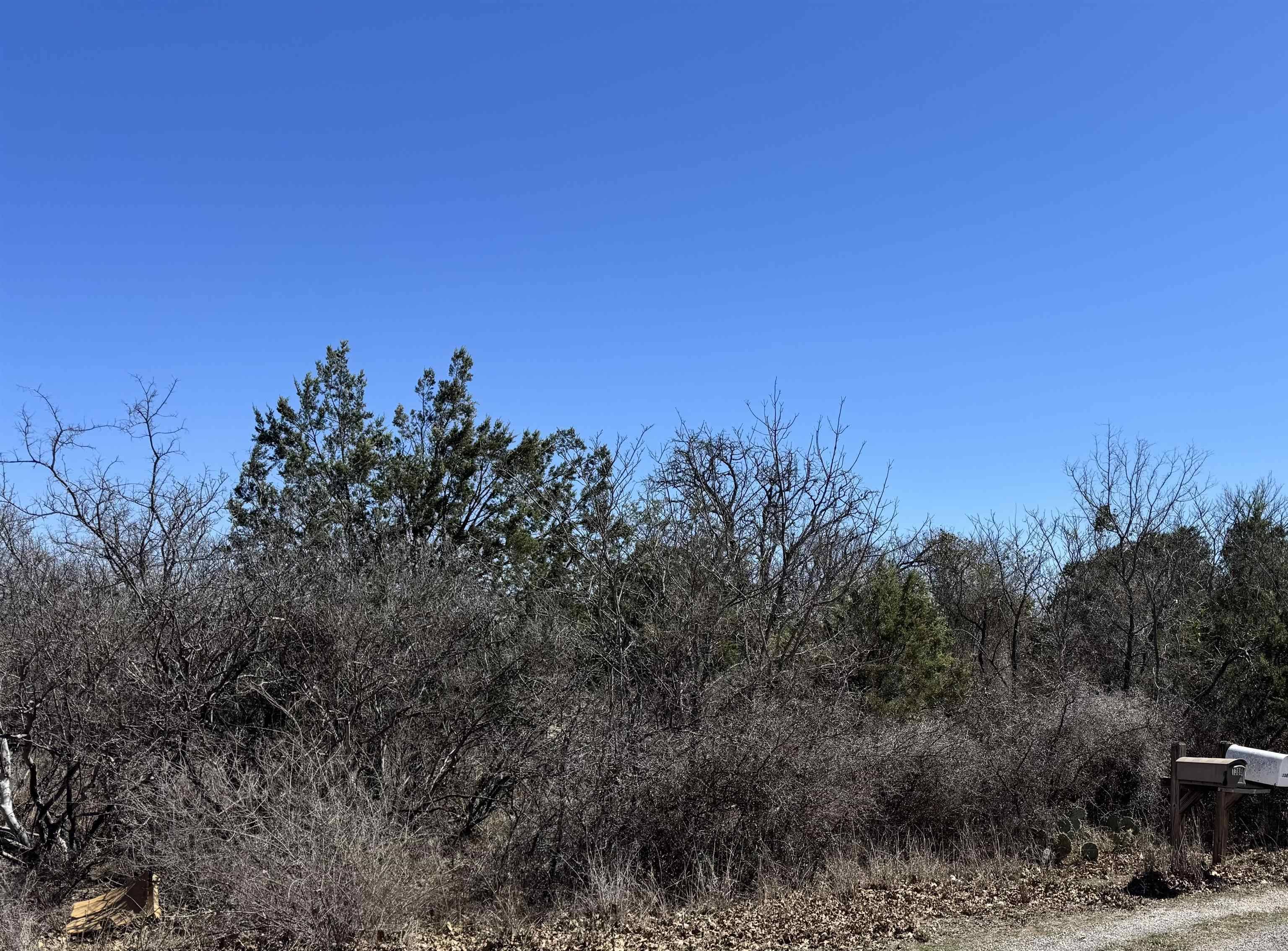 Lot 219 Western DR, Kingsland, TX 78639