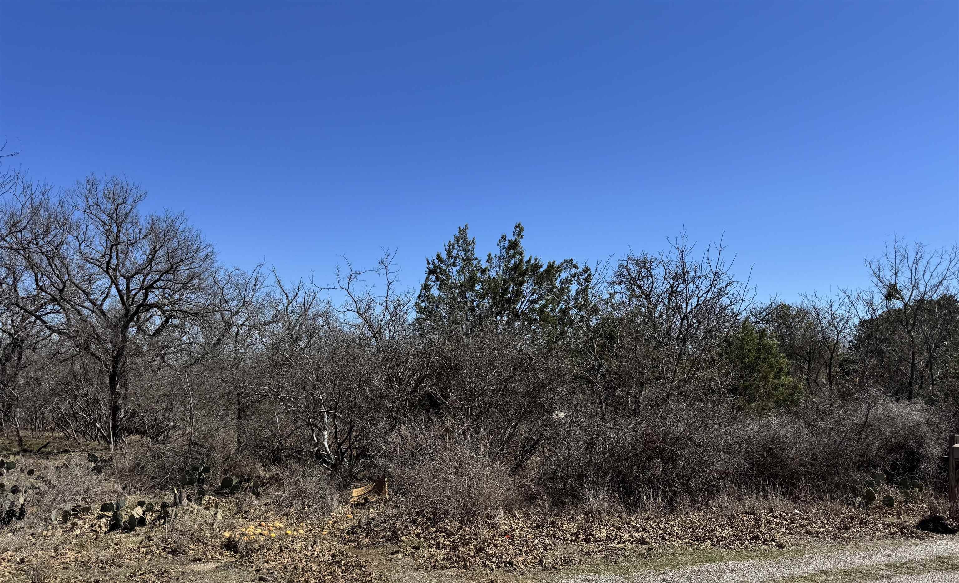 Lot 219 Western DR, Kingsland, TX 78639