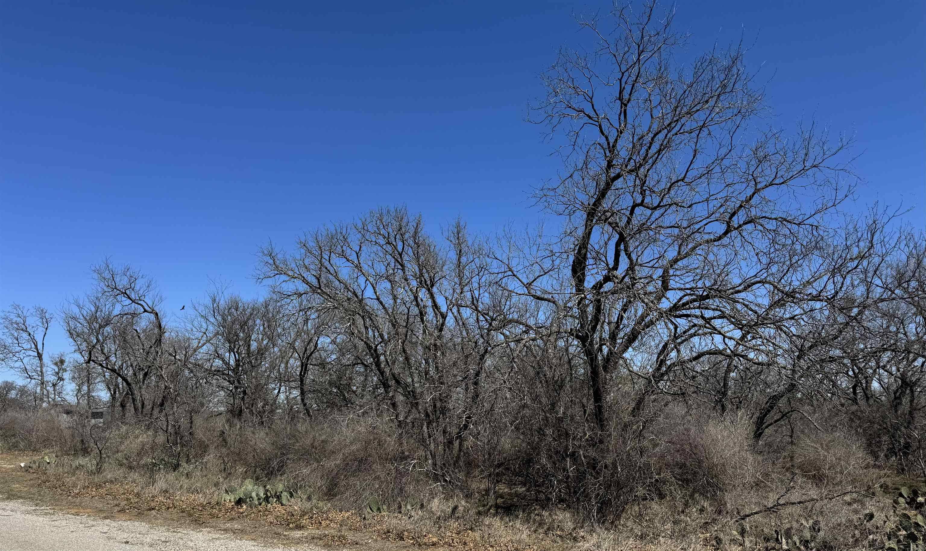 Lot 219 Western DR, Kingsland, TX 78639