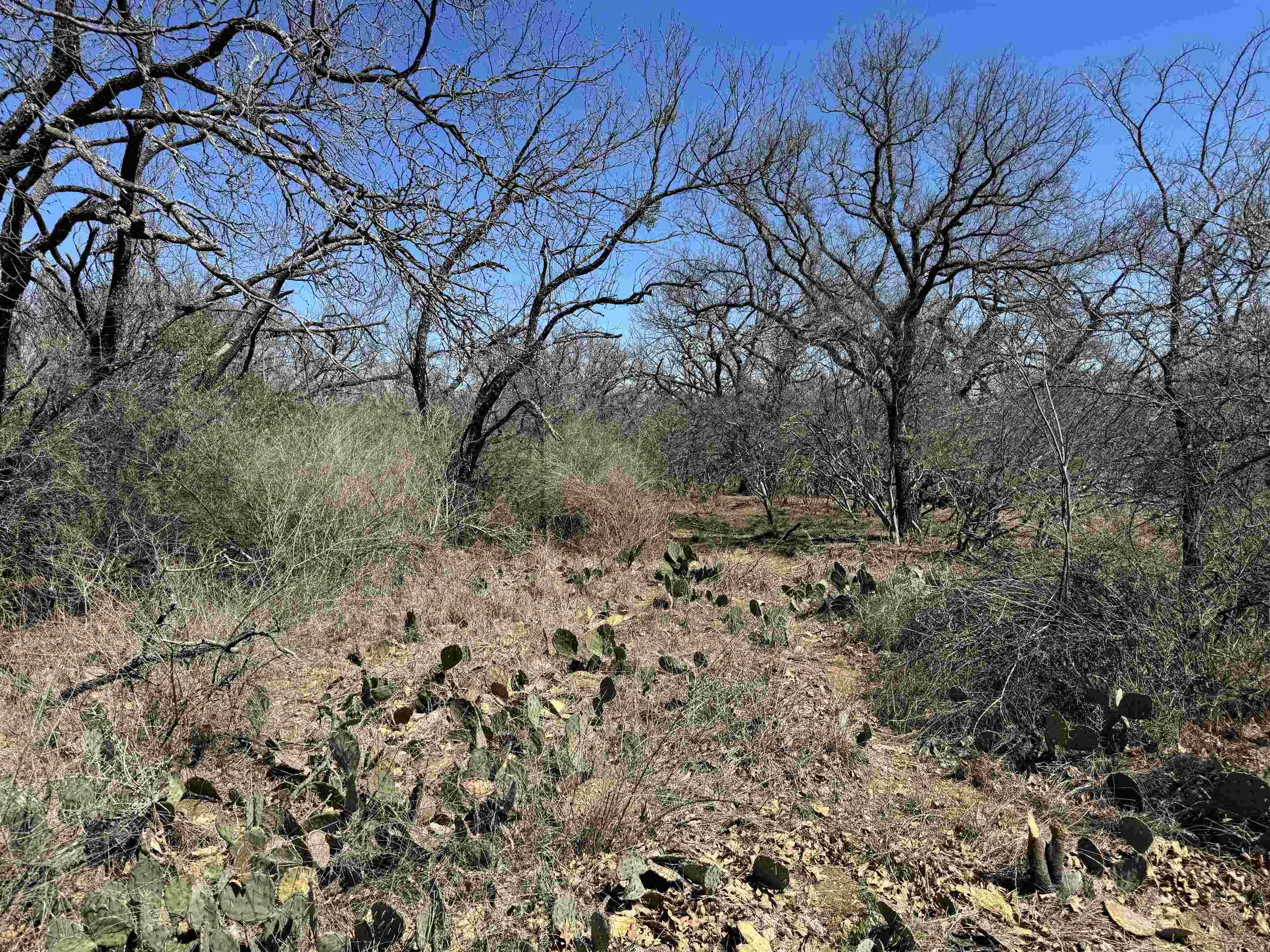 Lot 219 Western DR, Kingsland, TX 78639