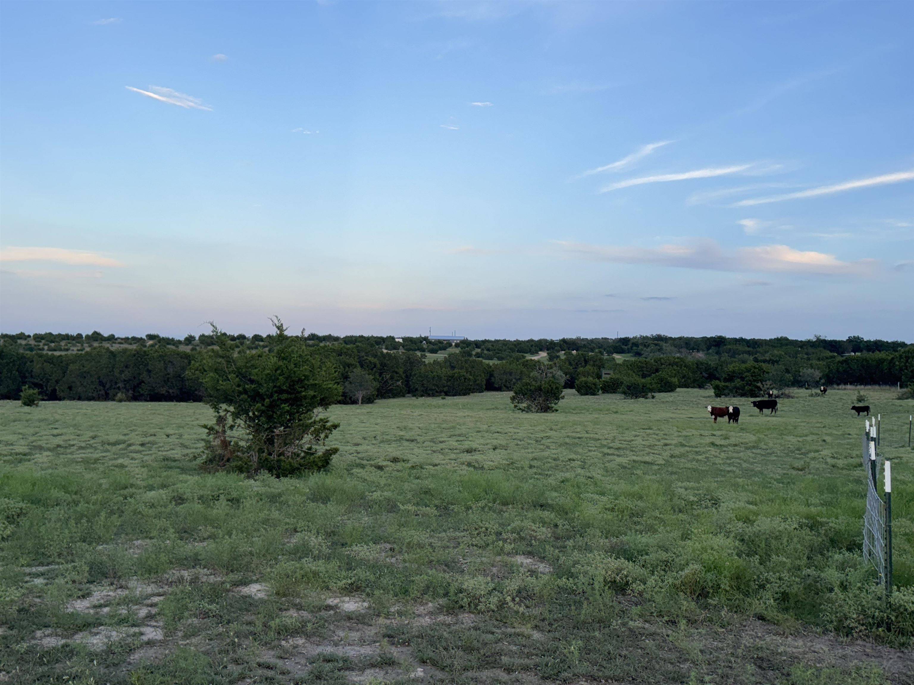 5450 CR 202, Burnet, TX 76550