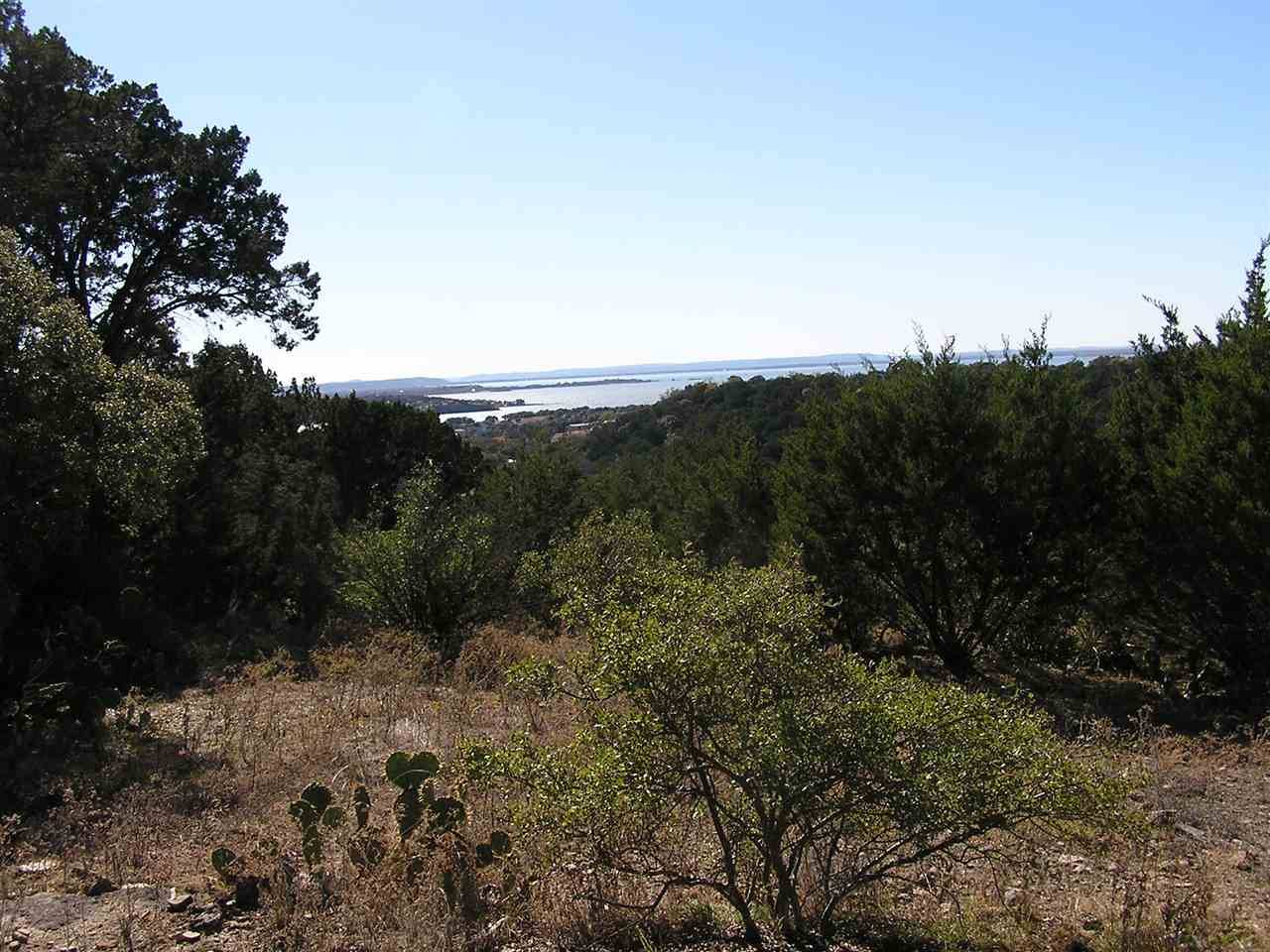 MCW1 Wolf Creek DR, Burnet, TX 78611