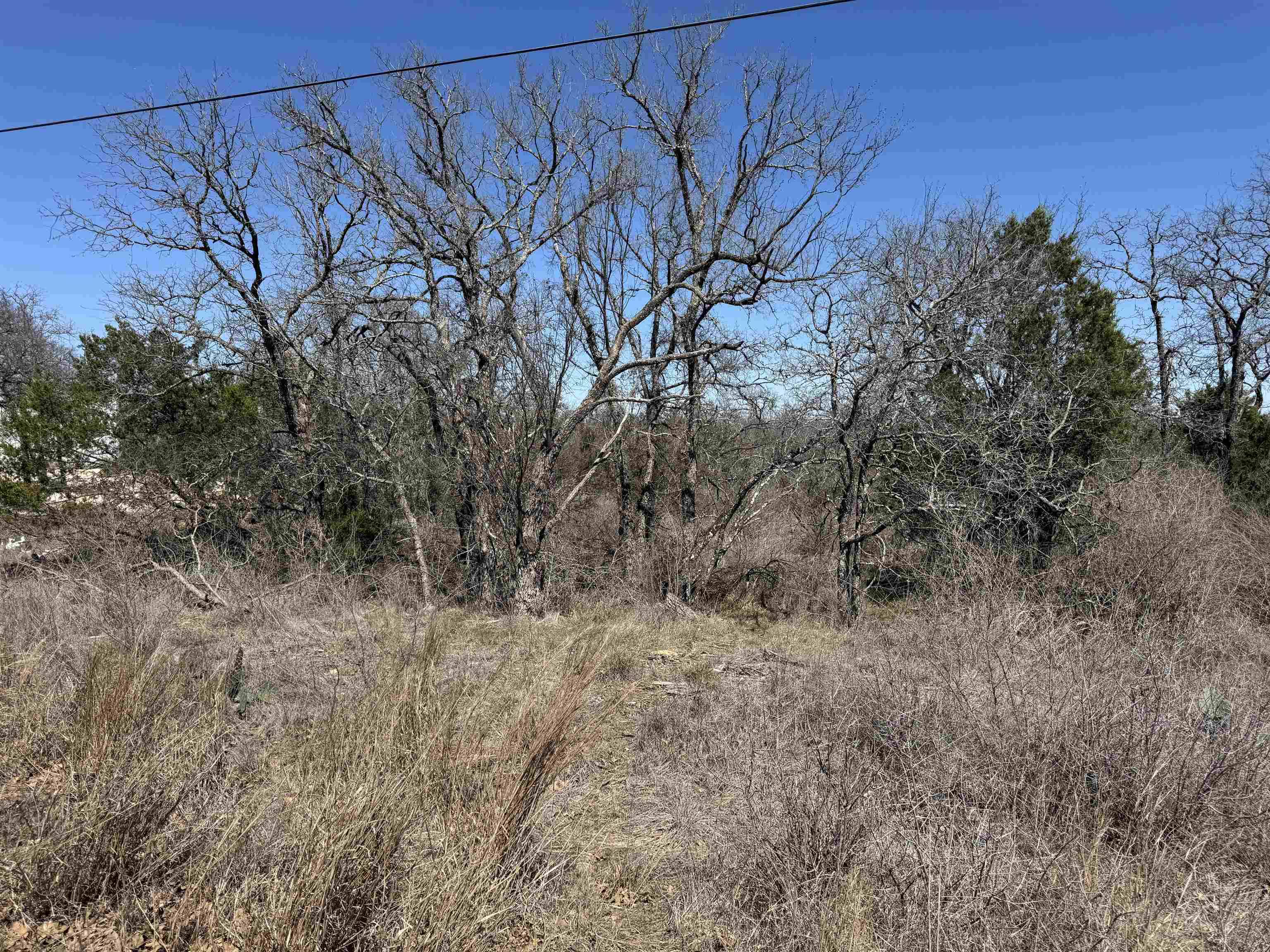 Lot 179 Longmont DR, Kingsland, TX 78639