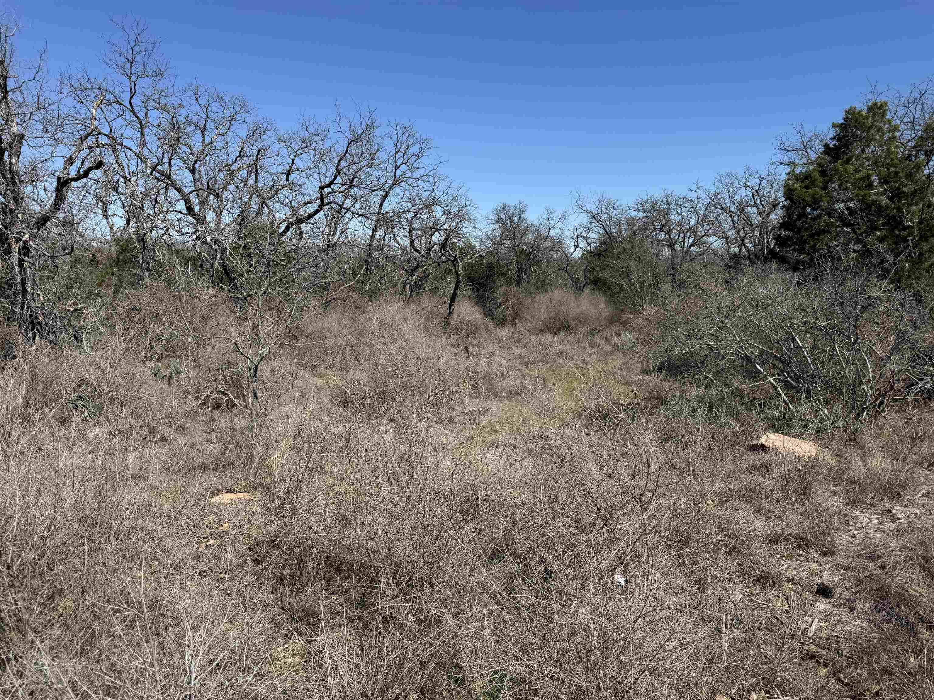 Lot 179 Longmont DR, Kingsland, TX 78639