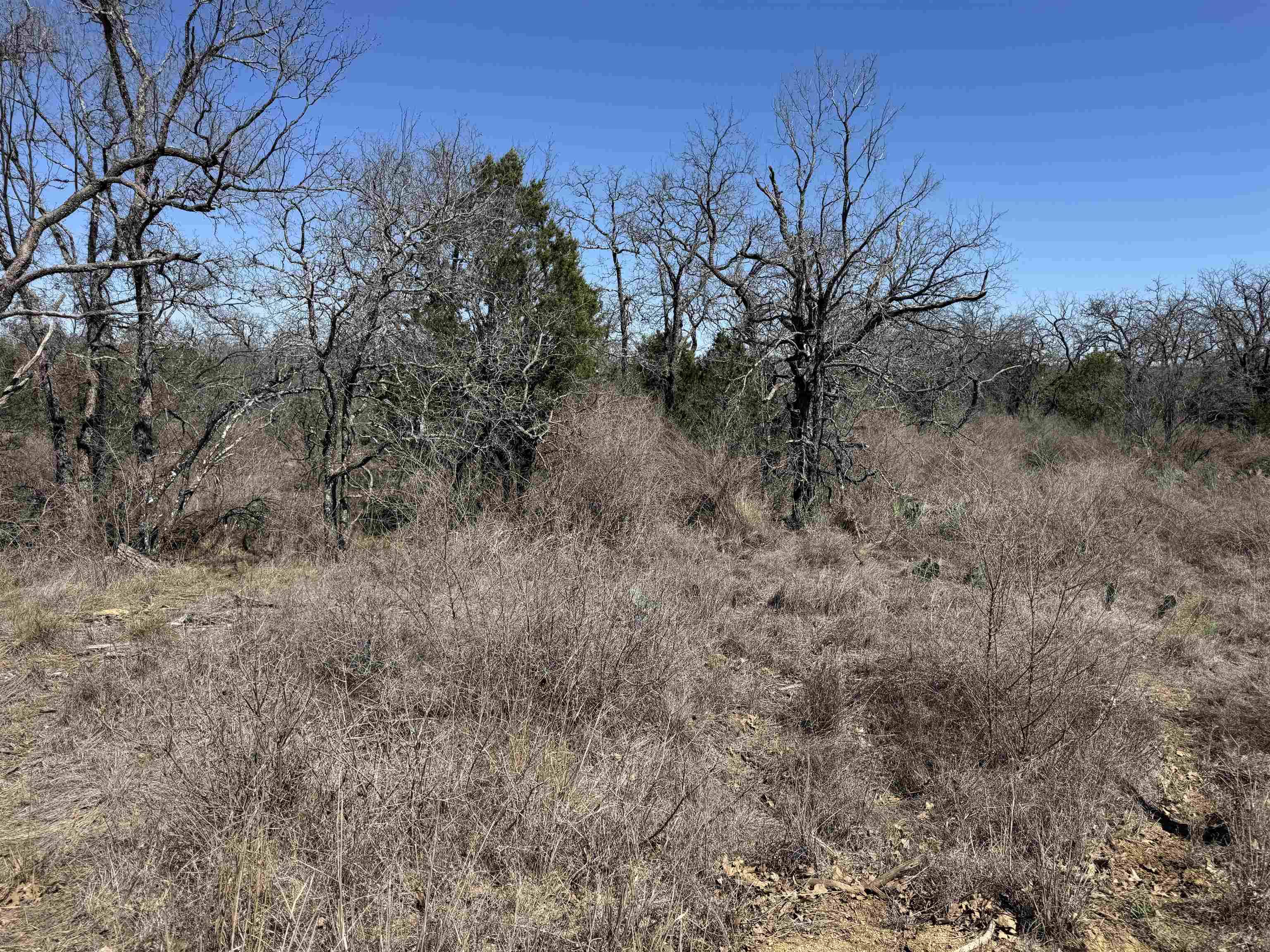 Lot 180 Longmont DR, Kingsland, TX 78639