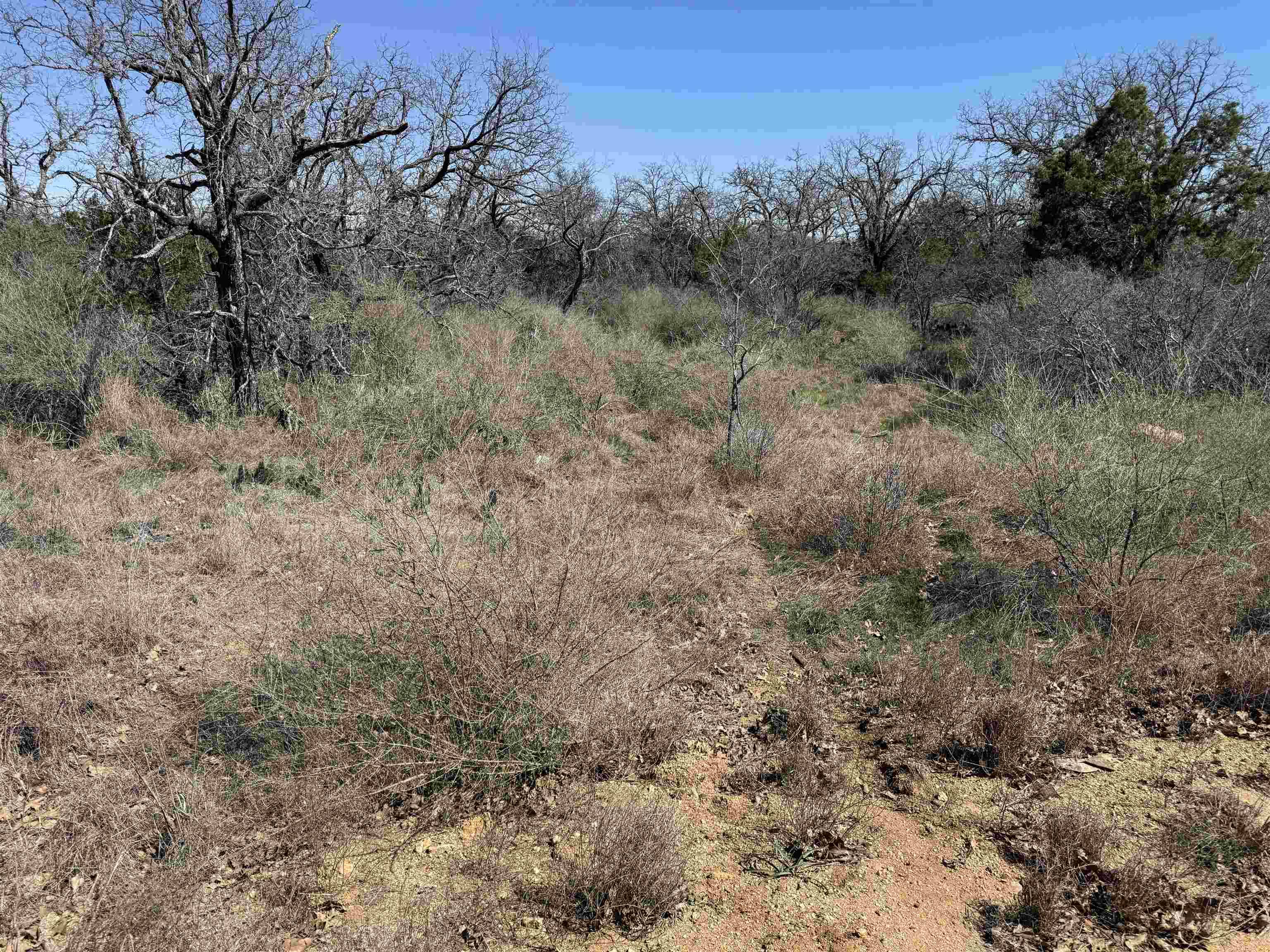 Lot 180 Longmont DR, Kingsland, TX 78639