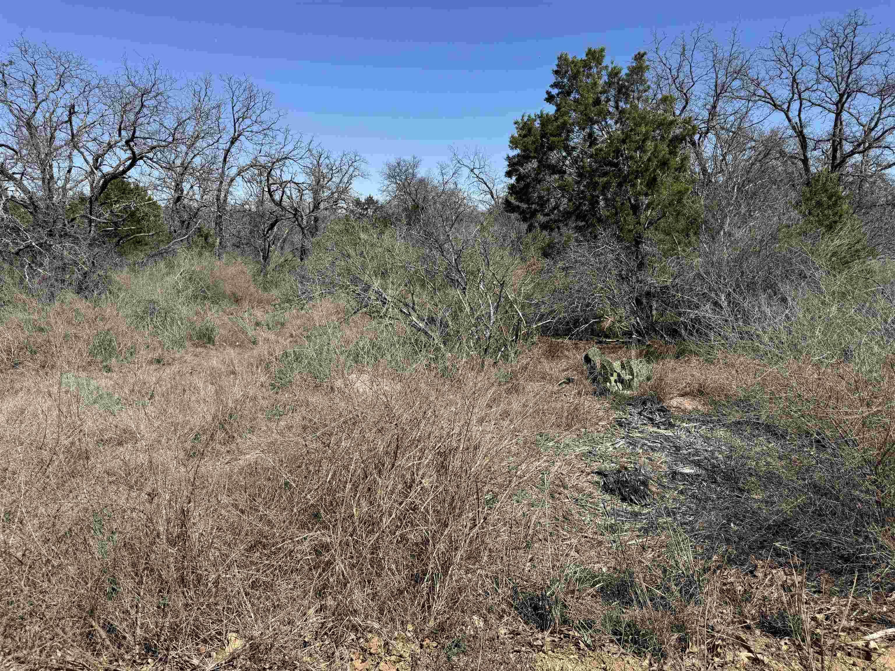 Lot 180 Longmont DR, Kingsland, TX 78639