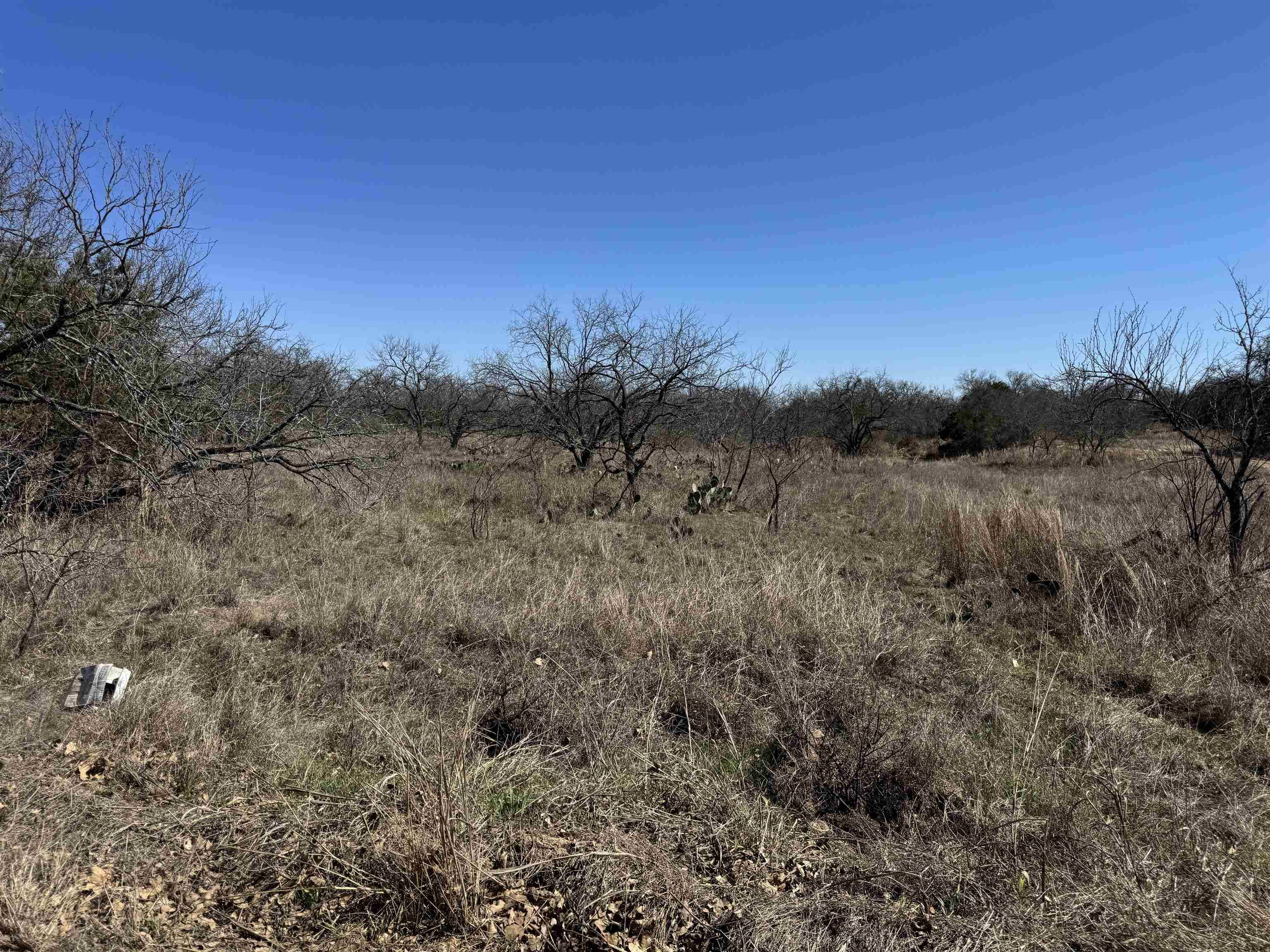 Lot 128 Brent DR, Kingsland, TX 78639