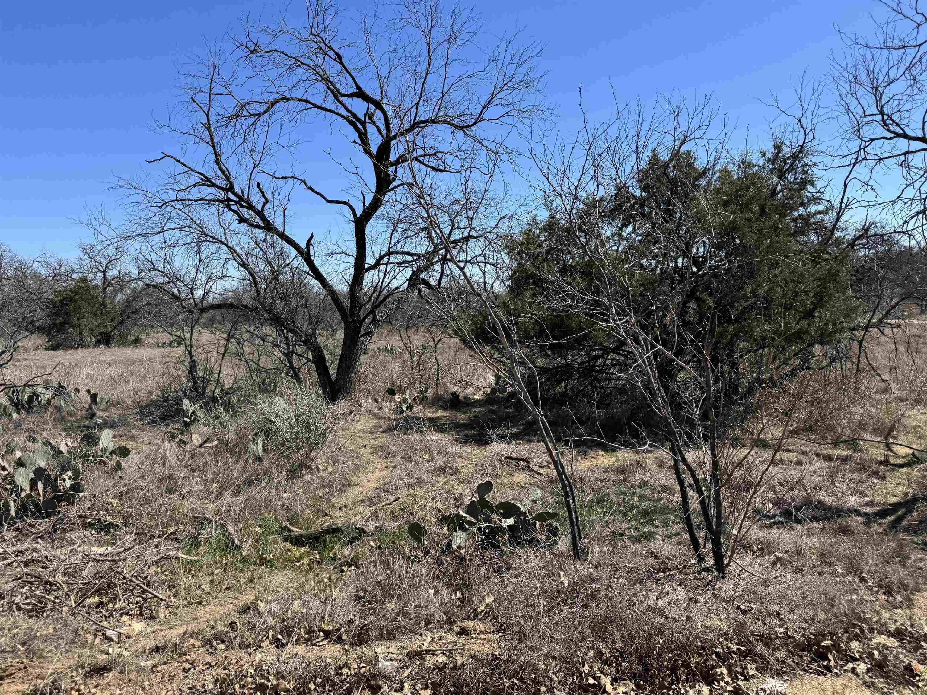 Lot 128 Brent DR, Kingsland, TX 78639
