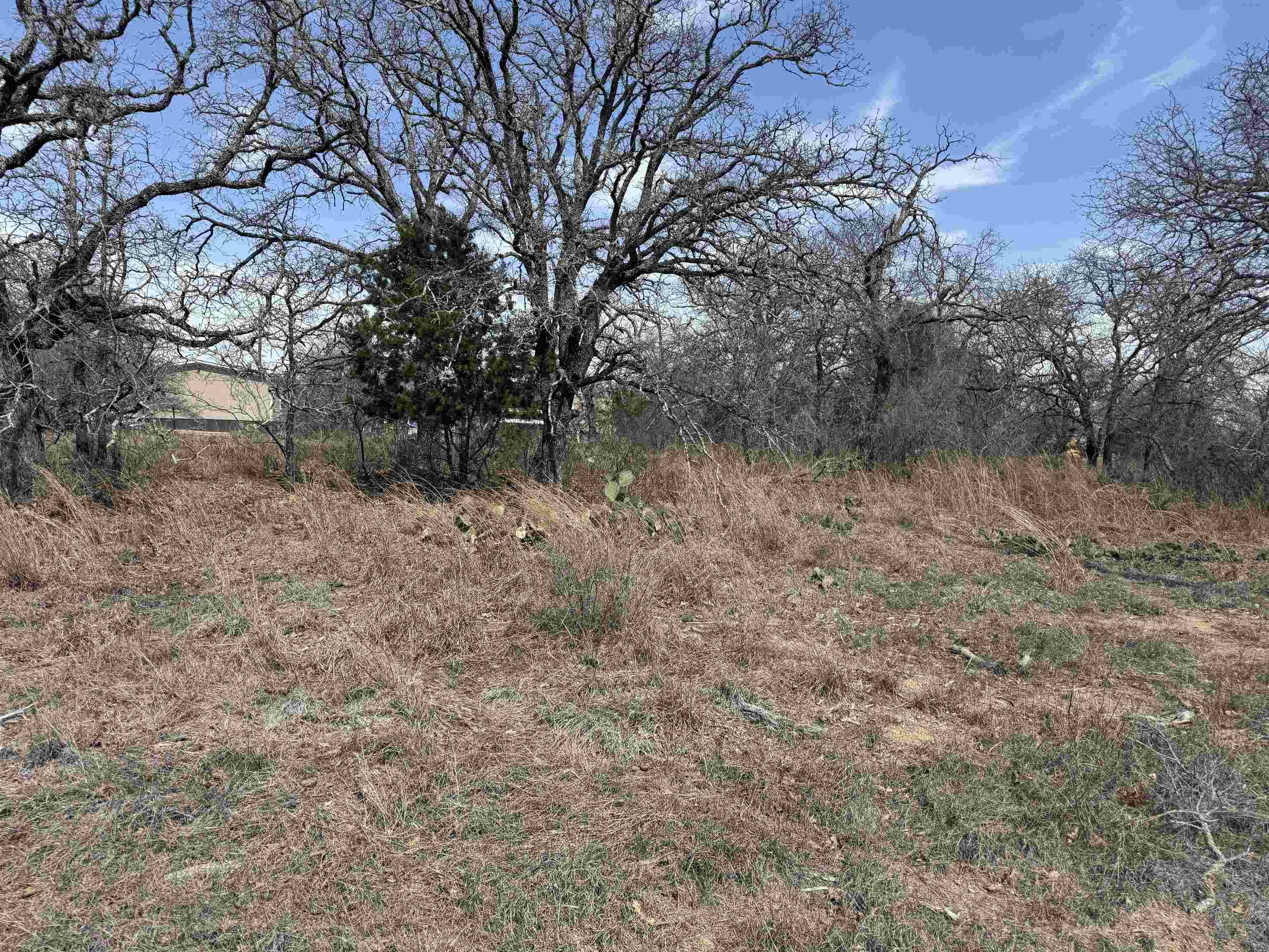 Lot 78 Ridgemont DR, Kingsland, TX 78639