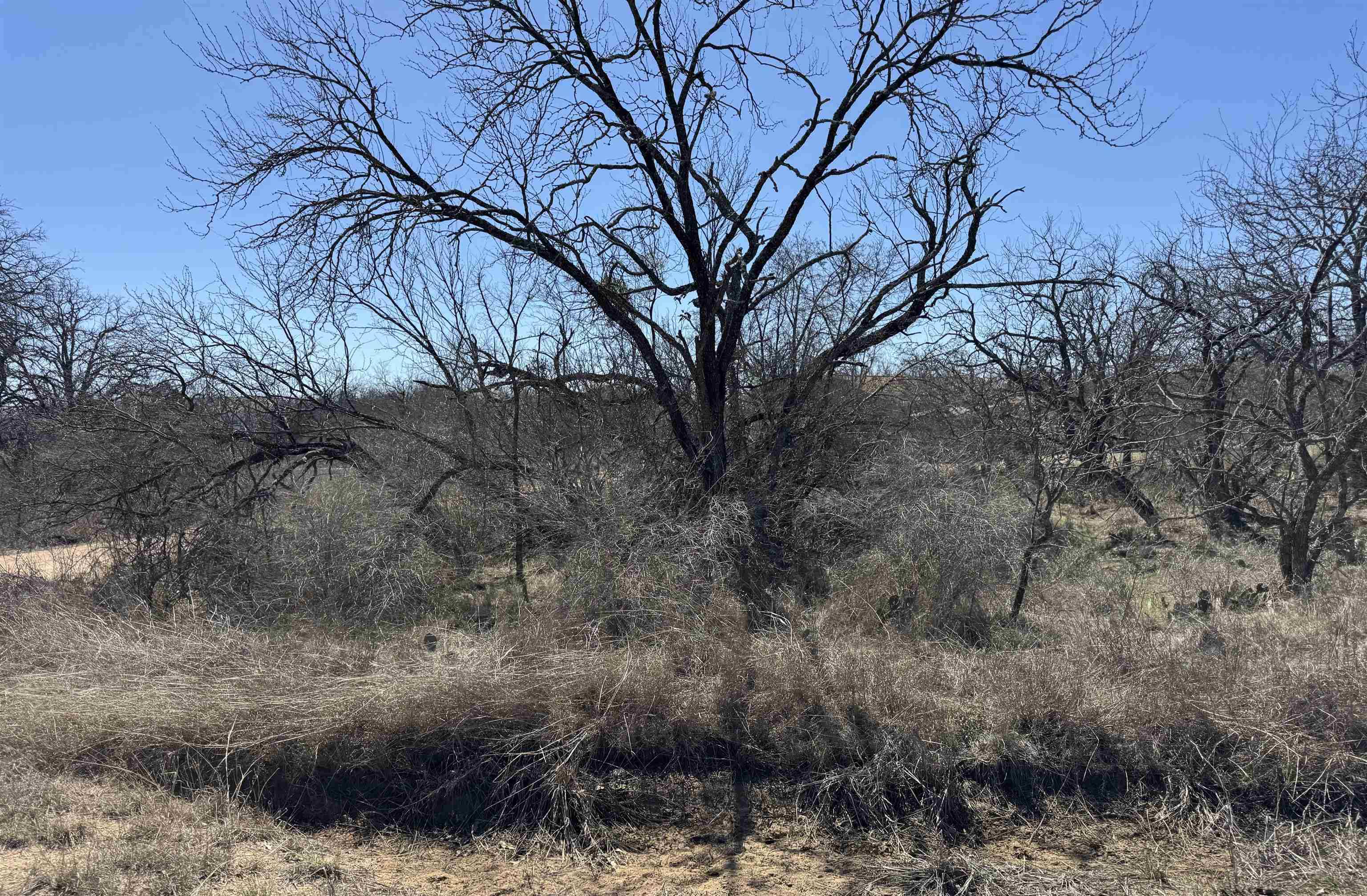 Lot 102 Ridgemont DR, Kingsland, TX 78639