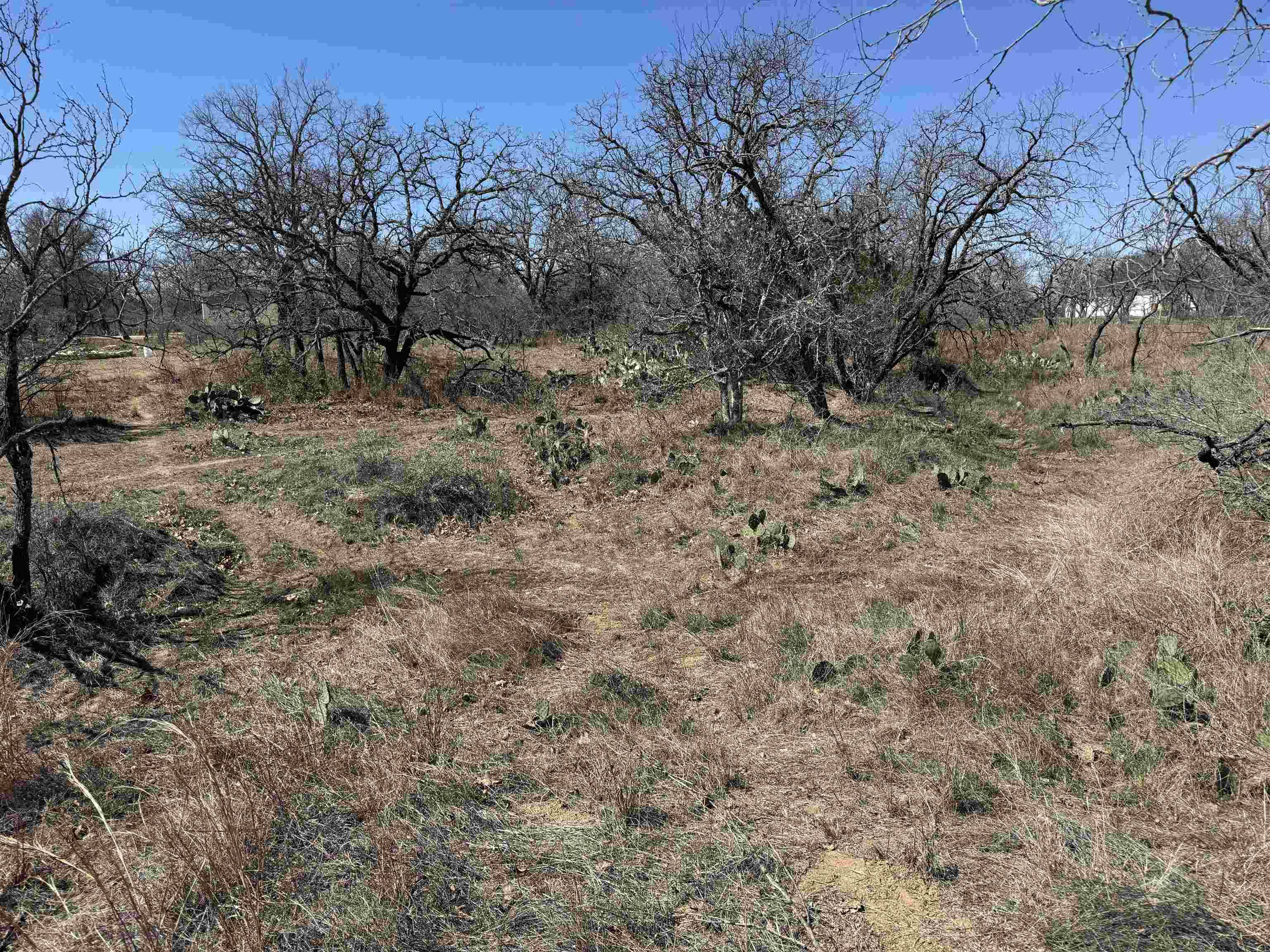 Lot 102 Ridgemont DR, Kingsland, TX 78639