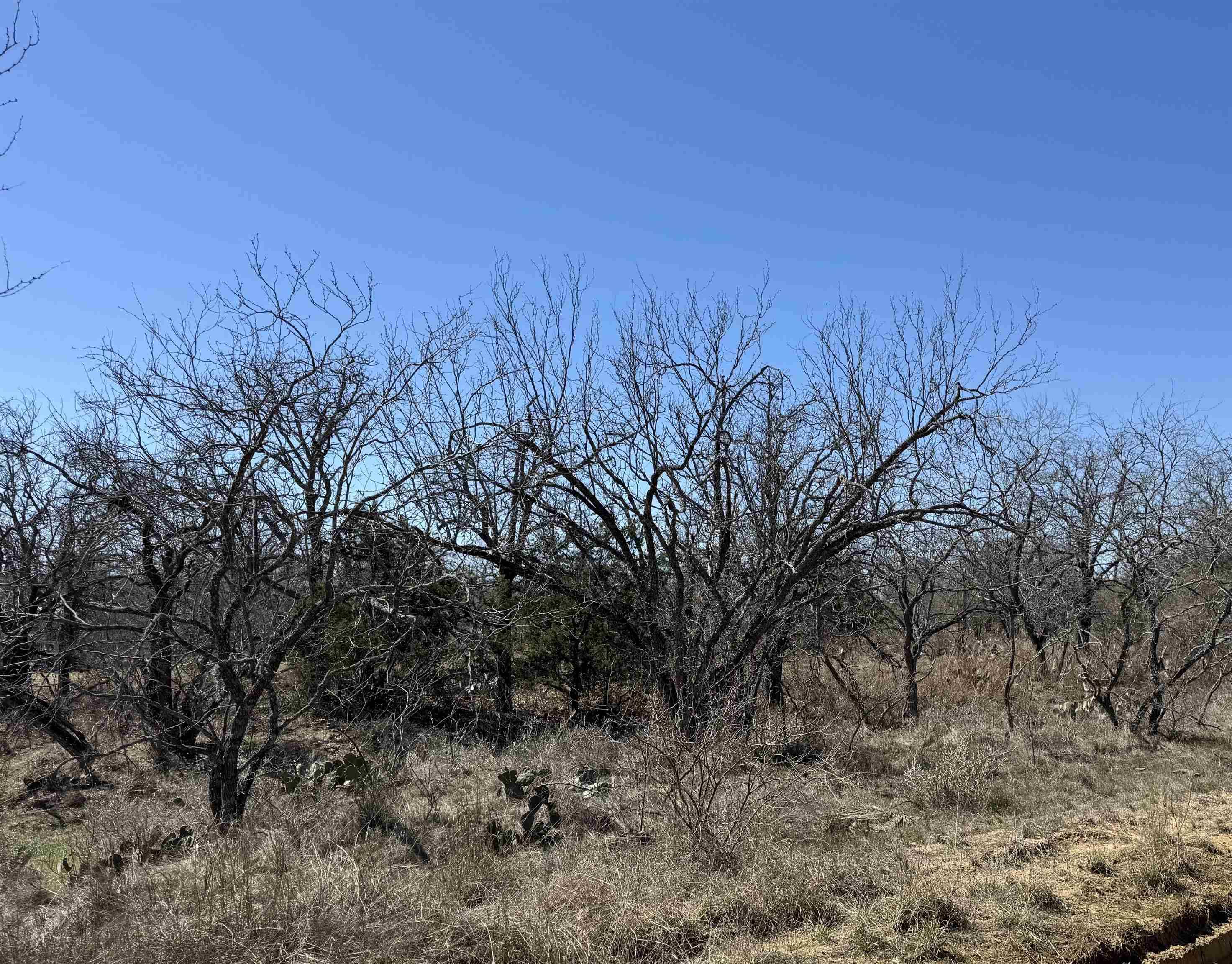 Lot 102 Ridgemont DR, Kingsland, TX 78639