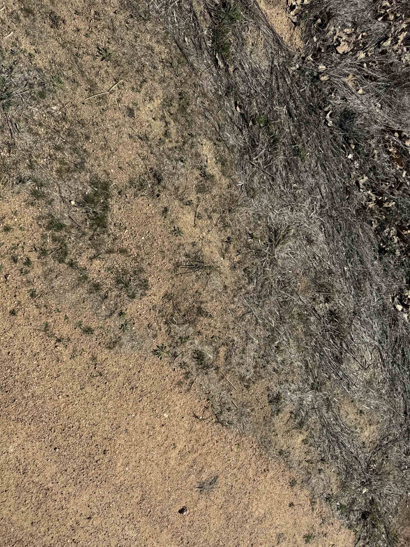 Lot 103 Ridgemont DR, Kingsland, TX 78639