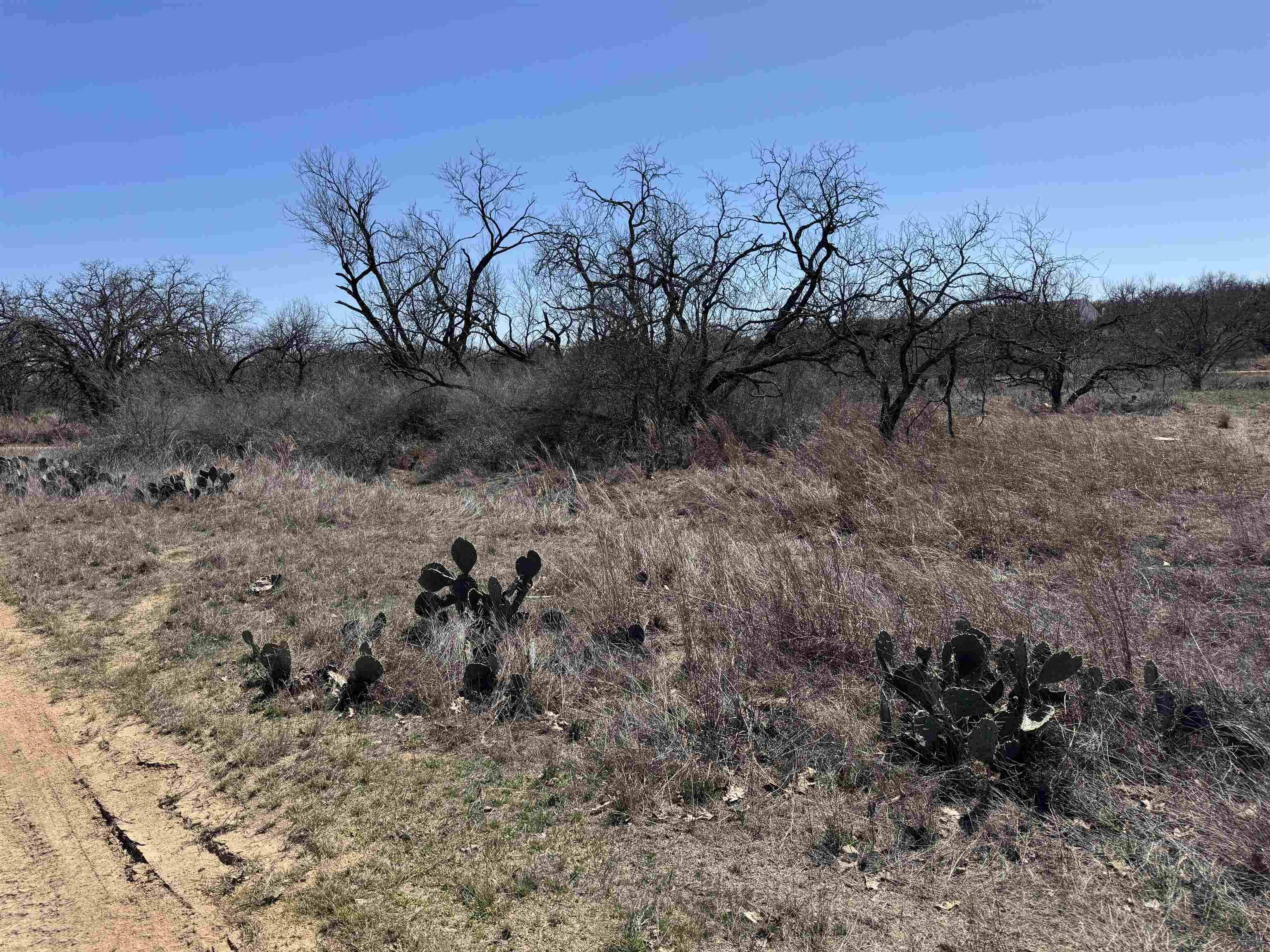 Lot 103 Ridgemont DR, Kingsland, TX 78639