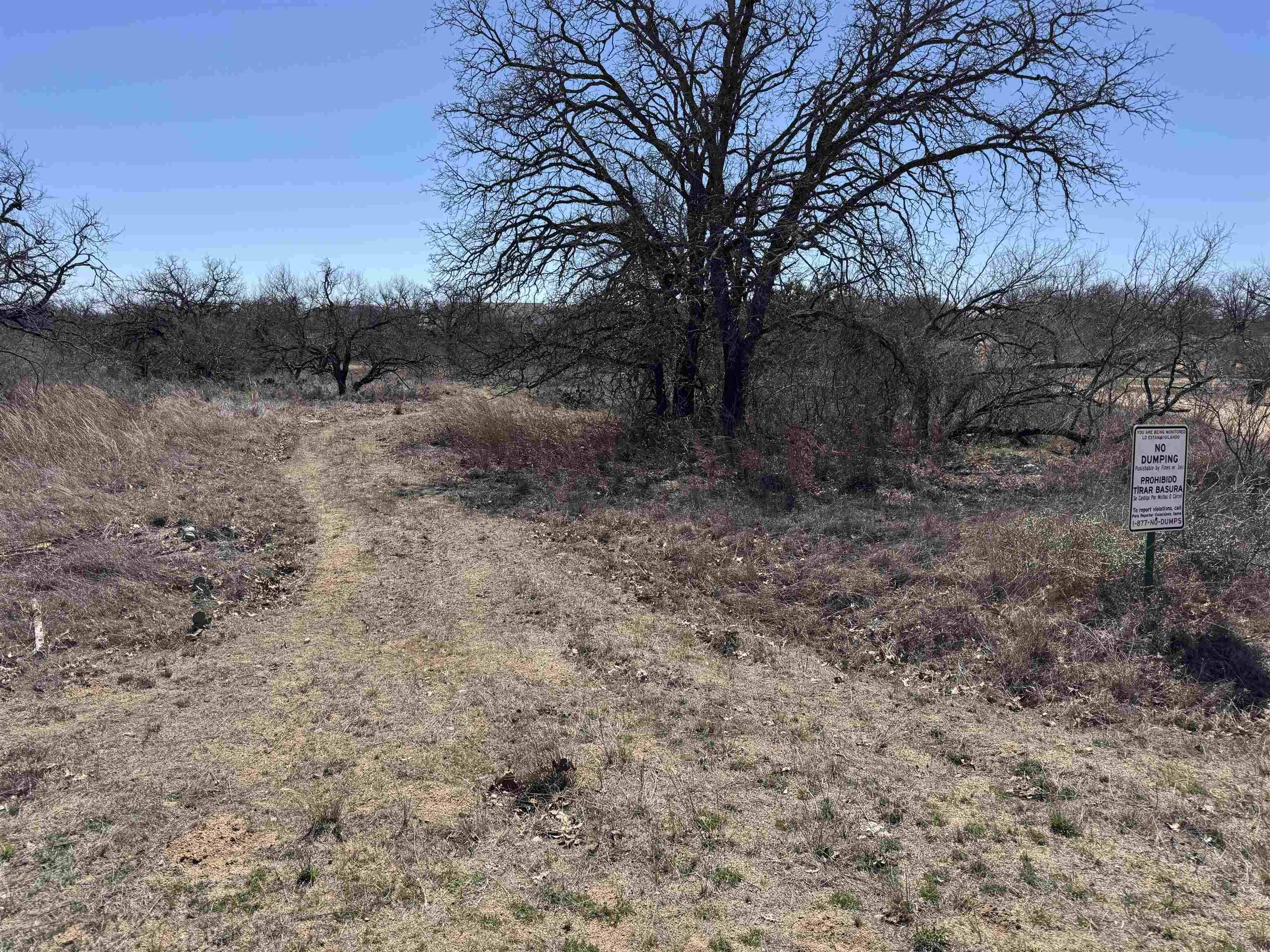 Lot 103 Ridgemont DR, Kingsland, TX 78639