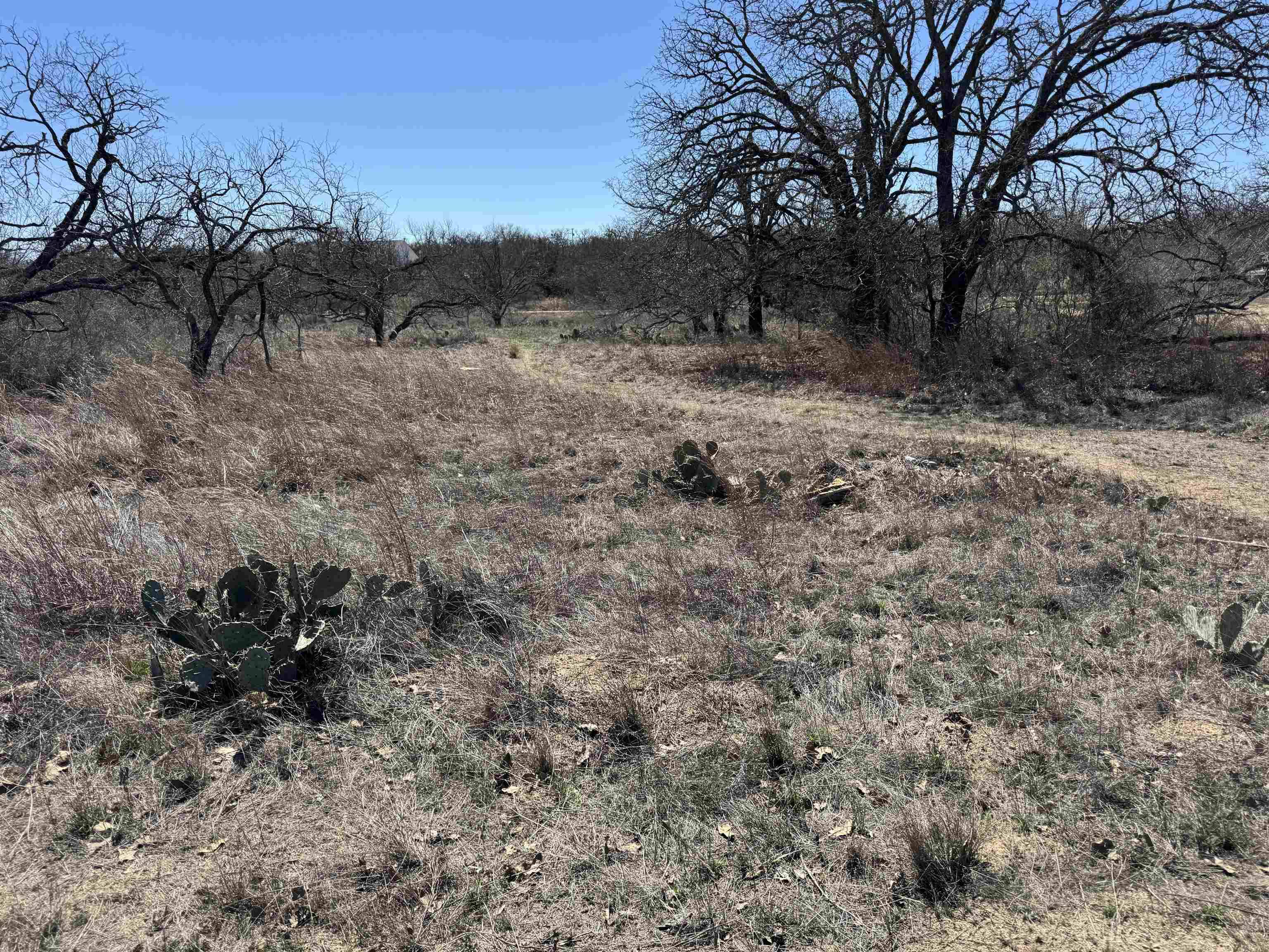 Lot 103 Ridgemont DR, Kingsland, TX 78639