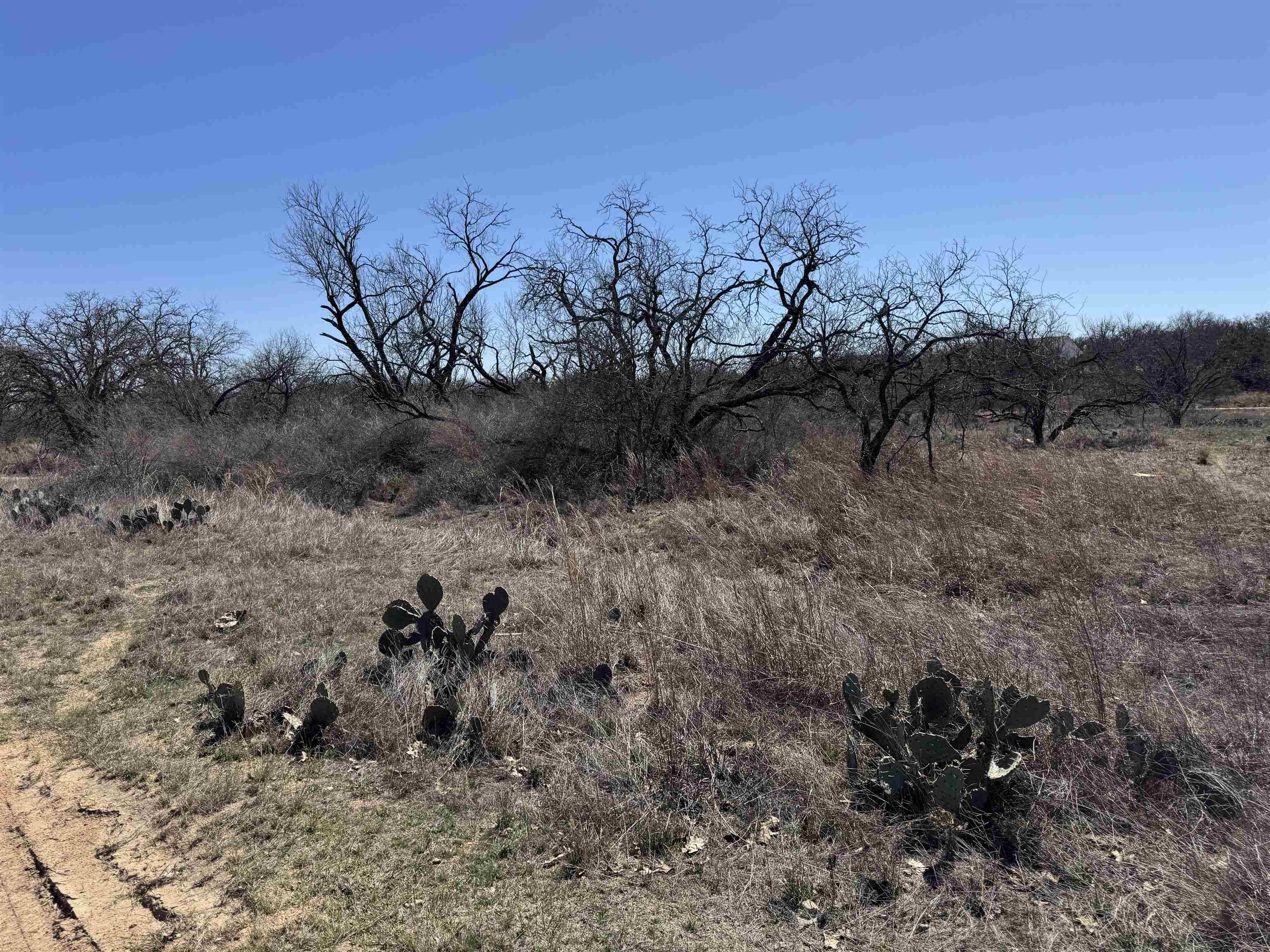 Lot 103 Ridgemont DR, Kingsland, TX 78639