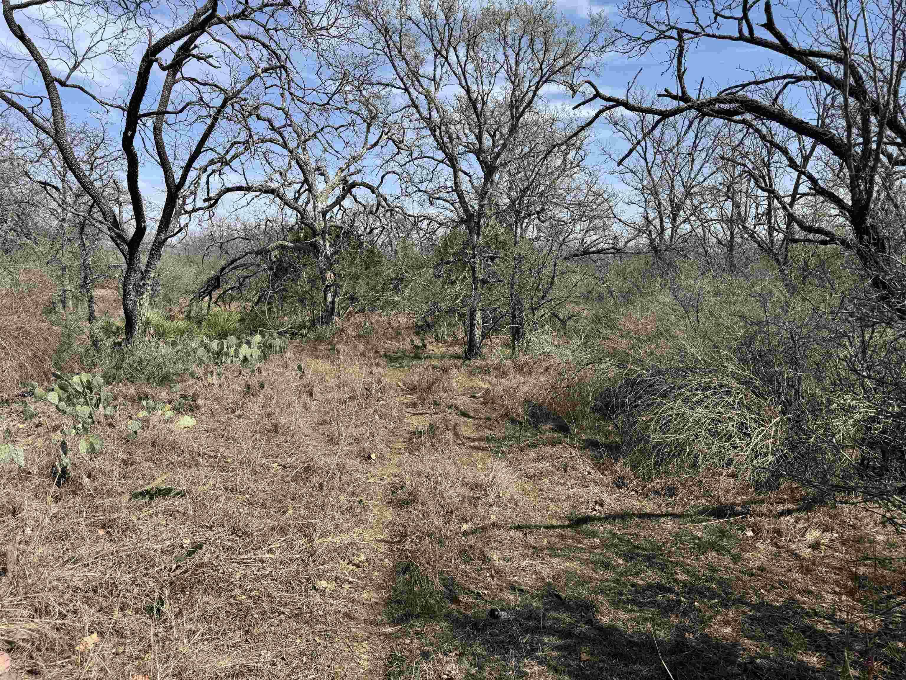 Lot 300-304 Link/Pinemont DR, Kingsland, TX 78639