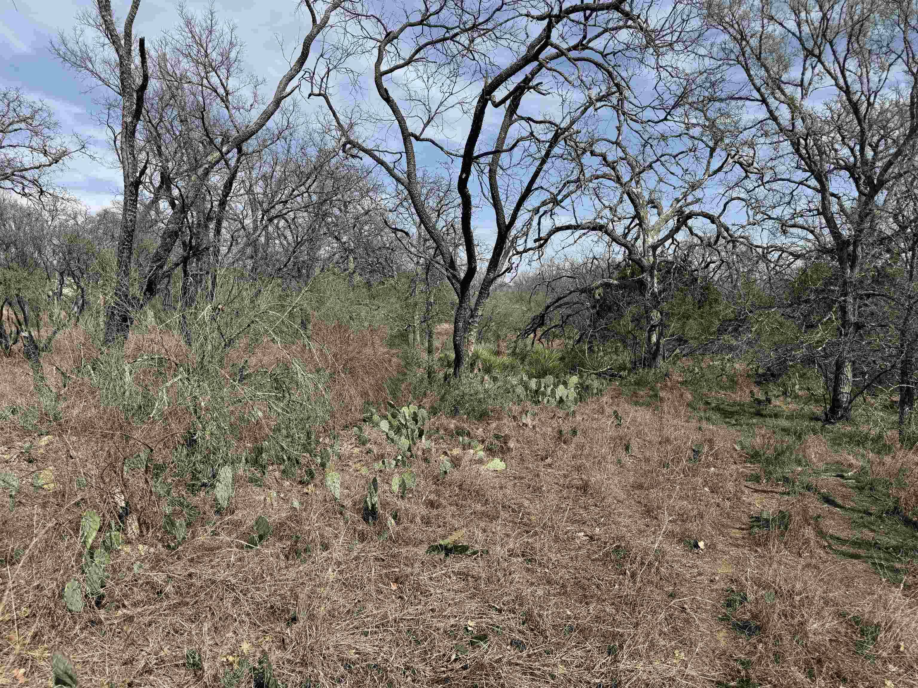Lot 300-304 Link/Pinemont DR, Kingsland, TX 78639