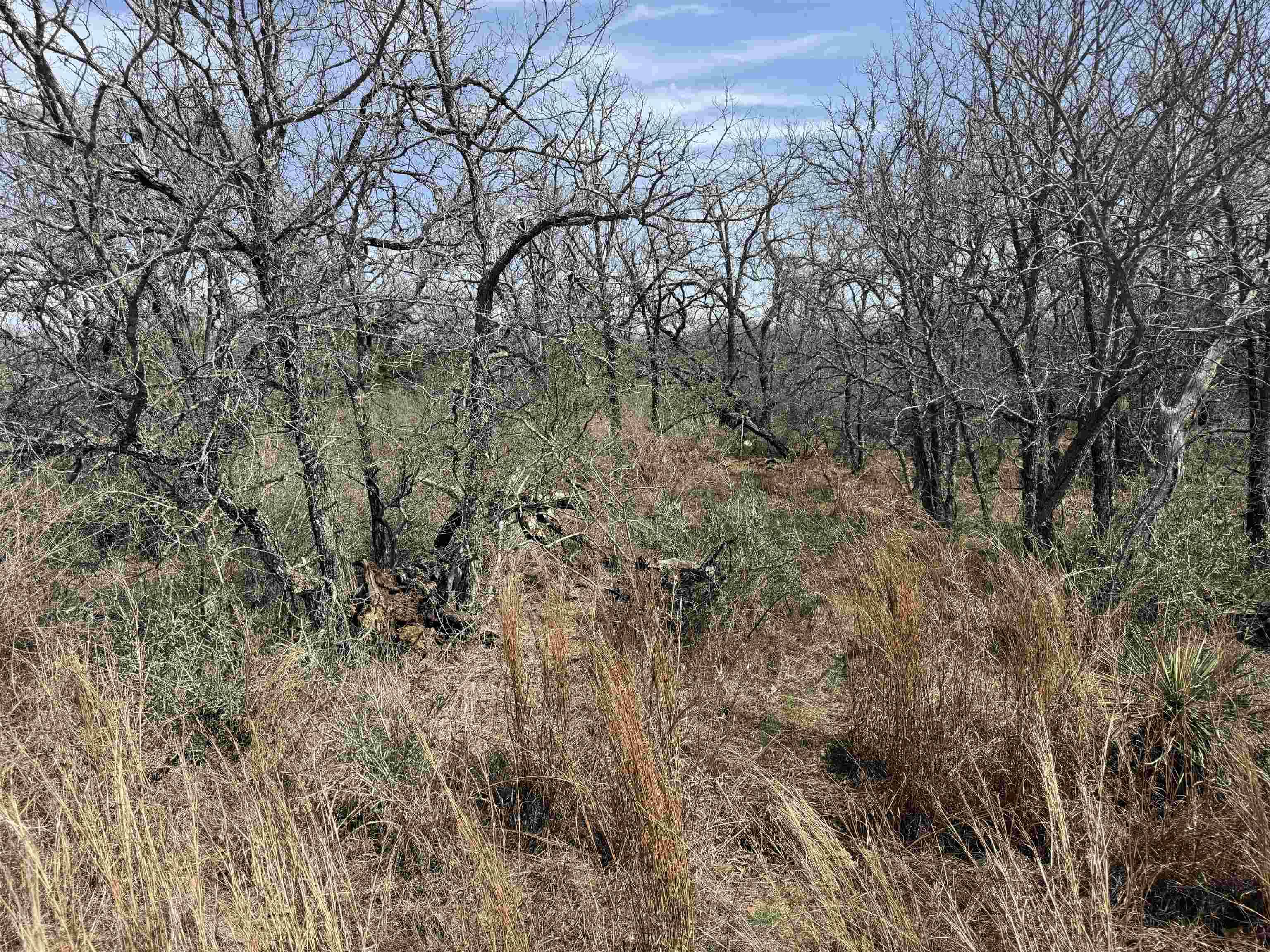 Lot 300-304 Link/Pinemont DR, Kingsland, TX 78639