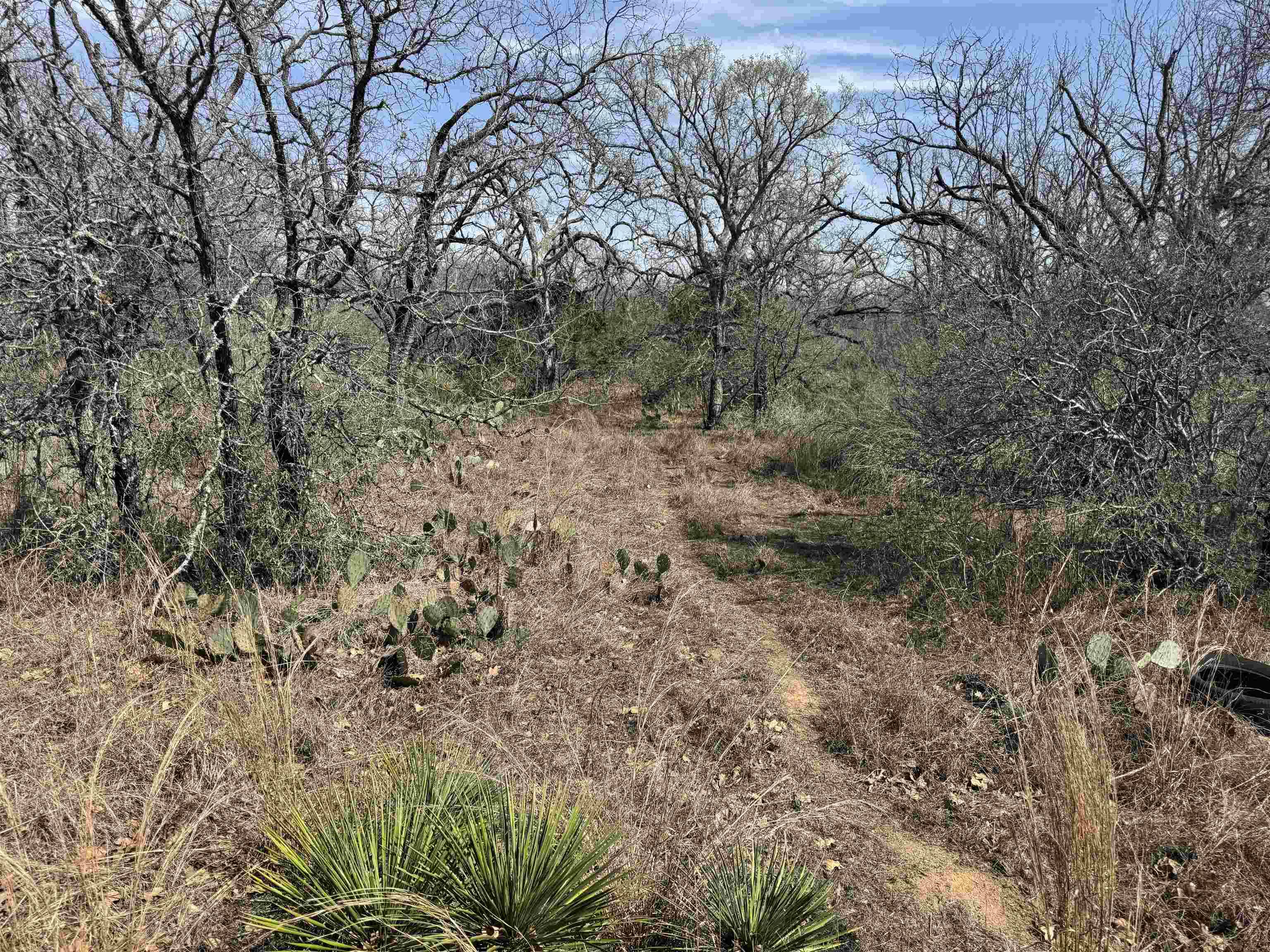 Lot 300-304 Link/Pinemont DR, Kingsland, TX 78639