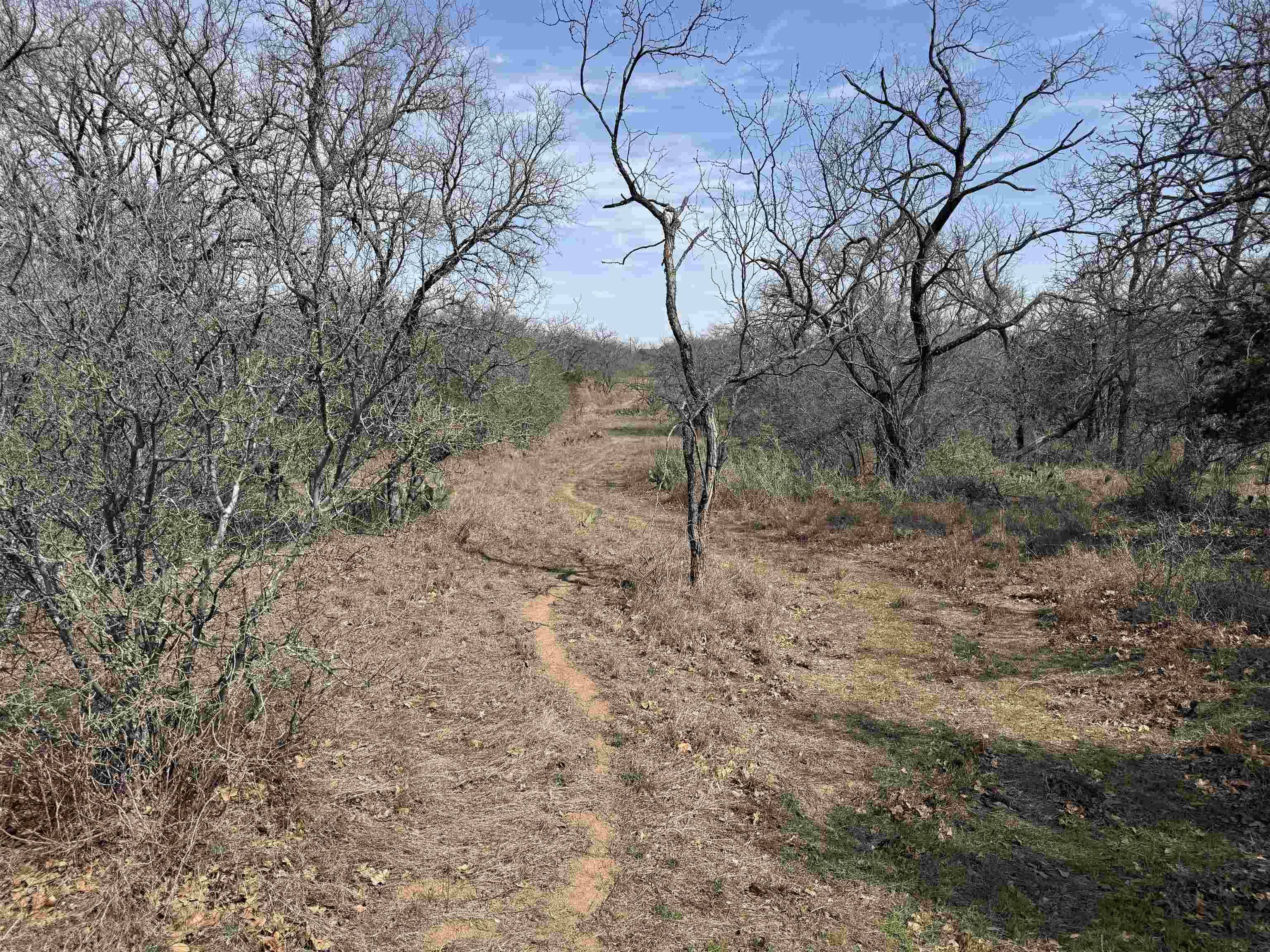 Lot 295 Pinemont DR, Kingsland, TX 78639