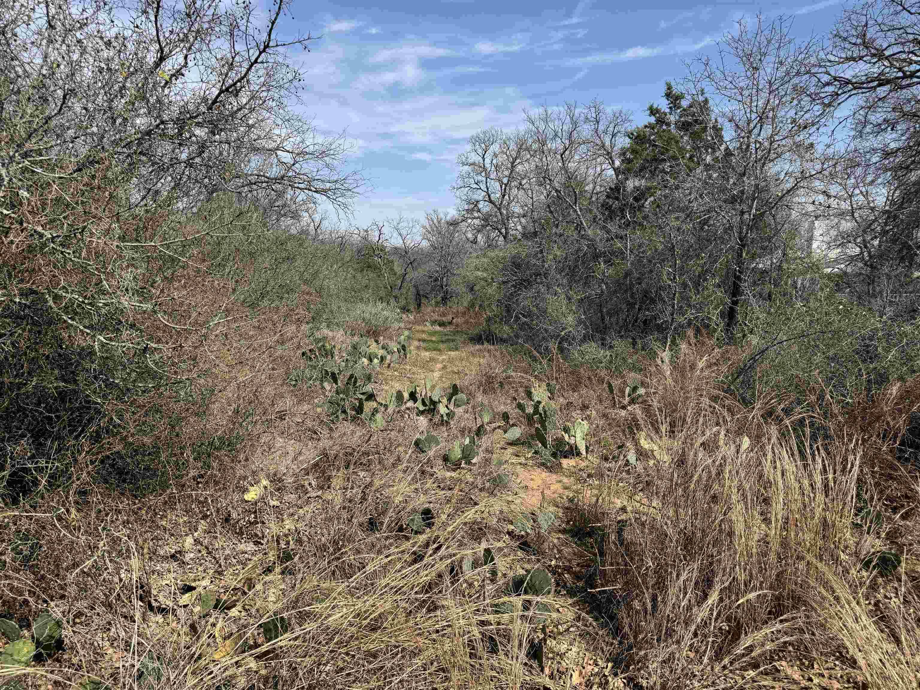Lot 295 Pinemont DR, Kingsland, TX 78639
