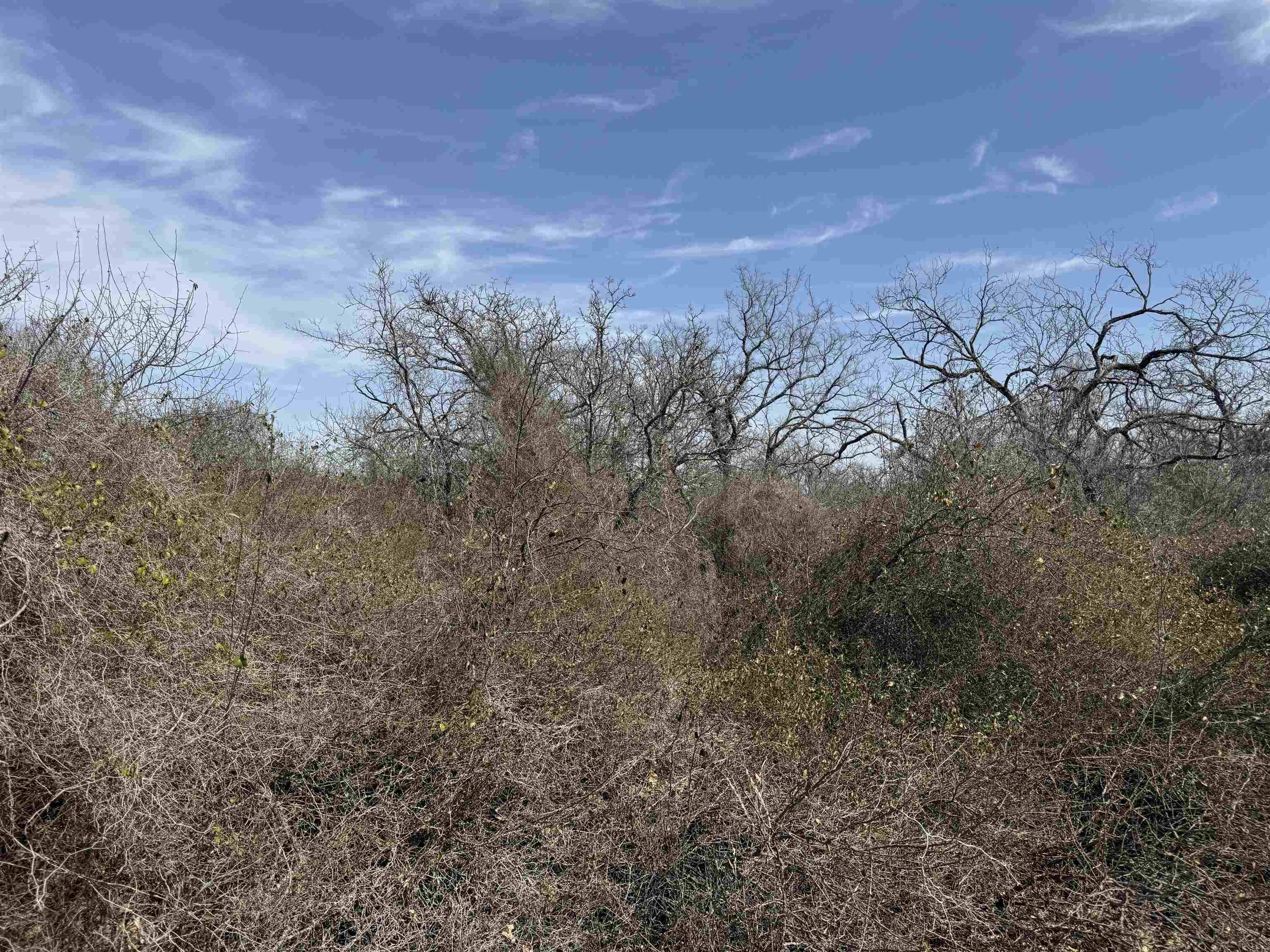 Lot 296-297 Pinemont DR, Kingsland, TX 78639