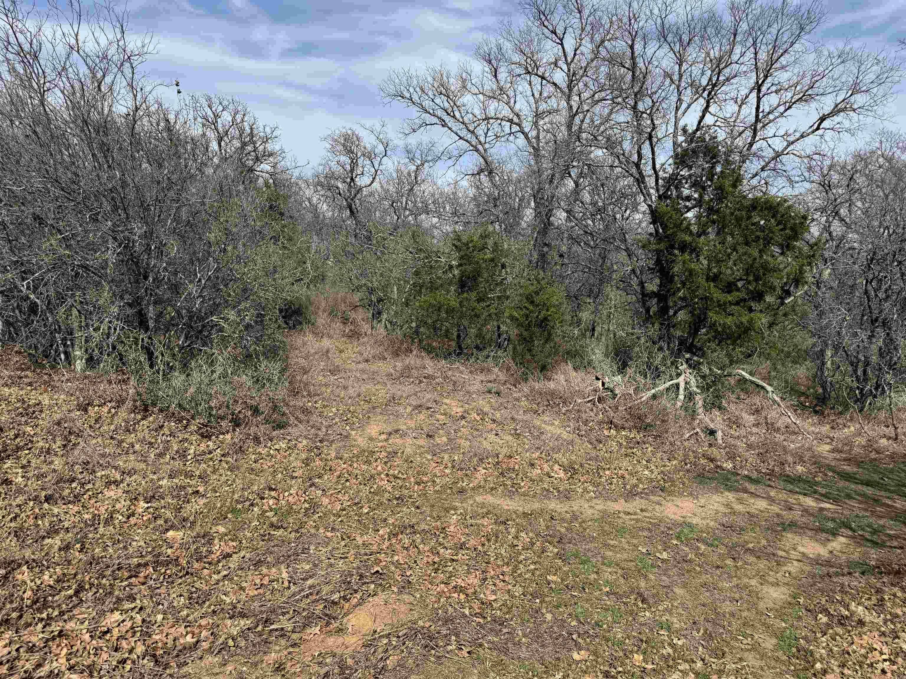 Lot 275-282 Aspermont DR, Kingsland, TX 78639