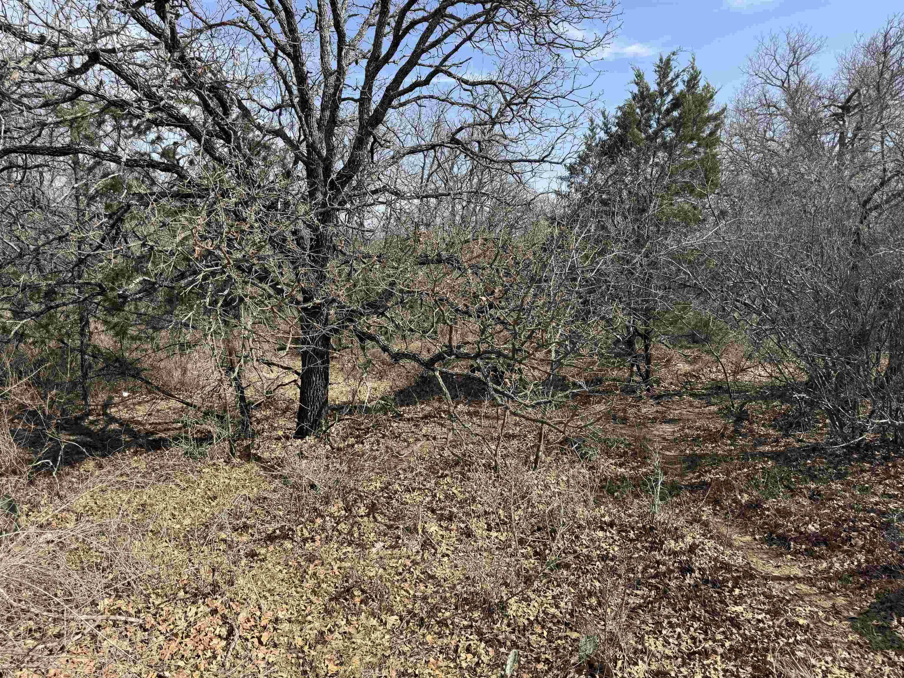 Lot 283-289 Aspermont DR, Kingsland, TX 78639