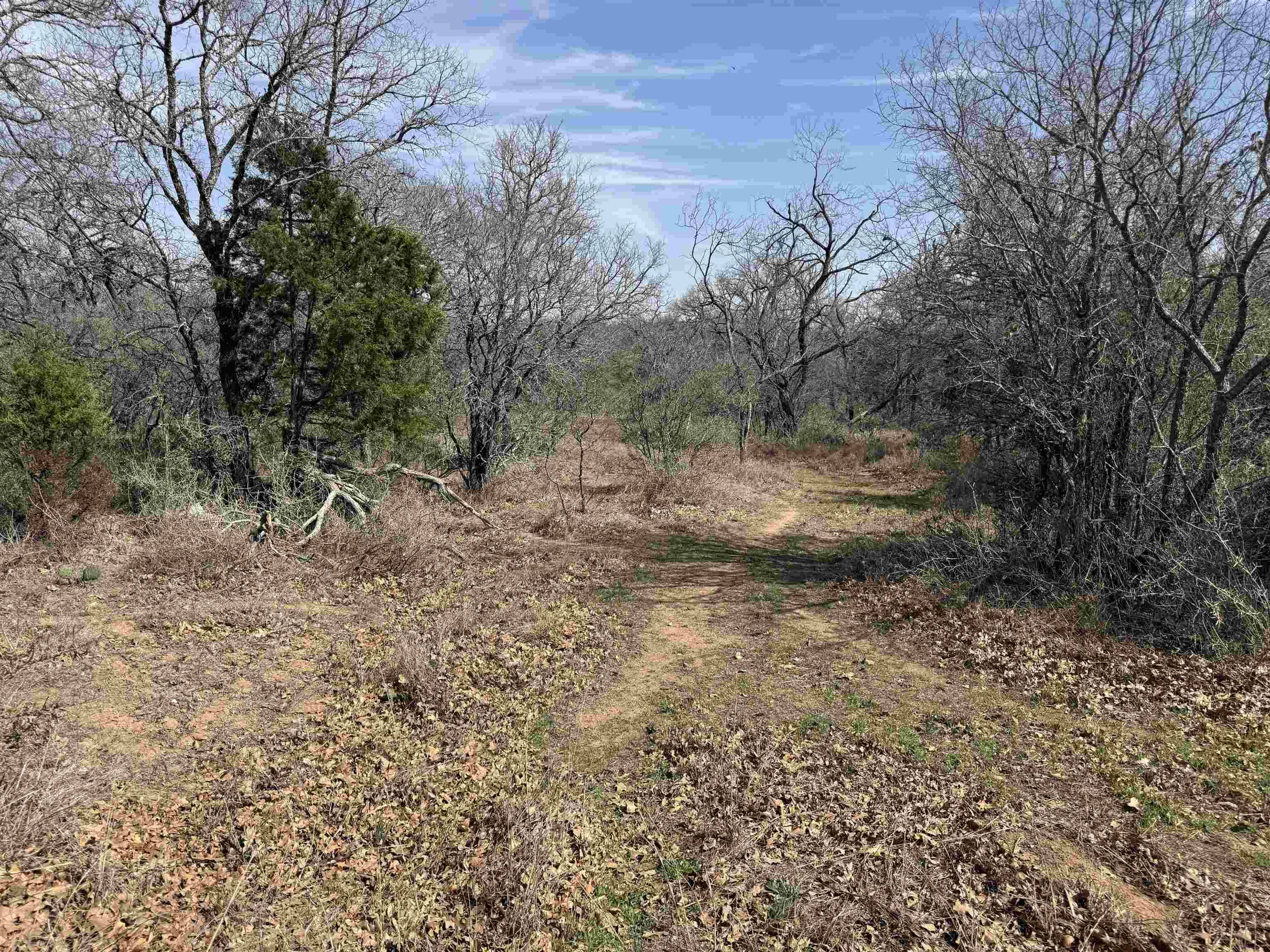 Lot 283-289 Aspermont DR, Kingsland, TX 78639