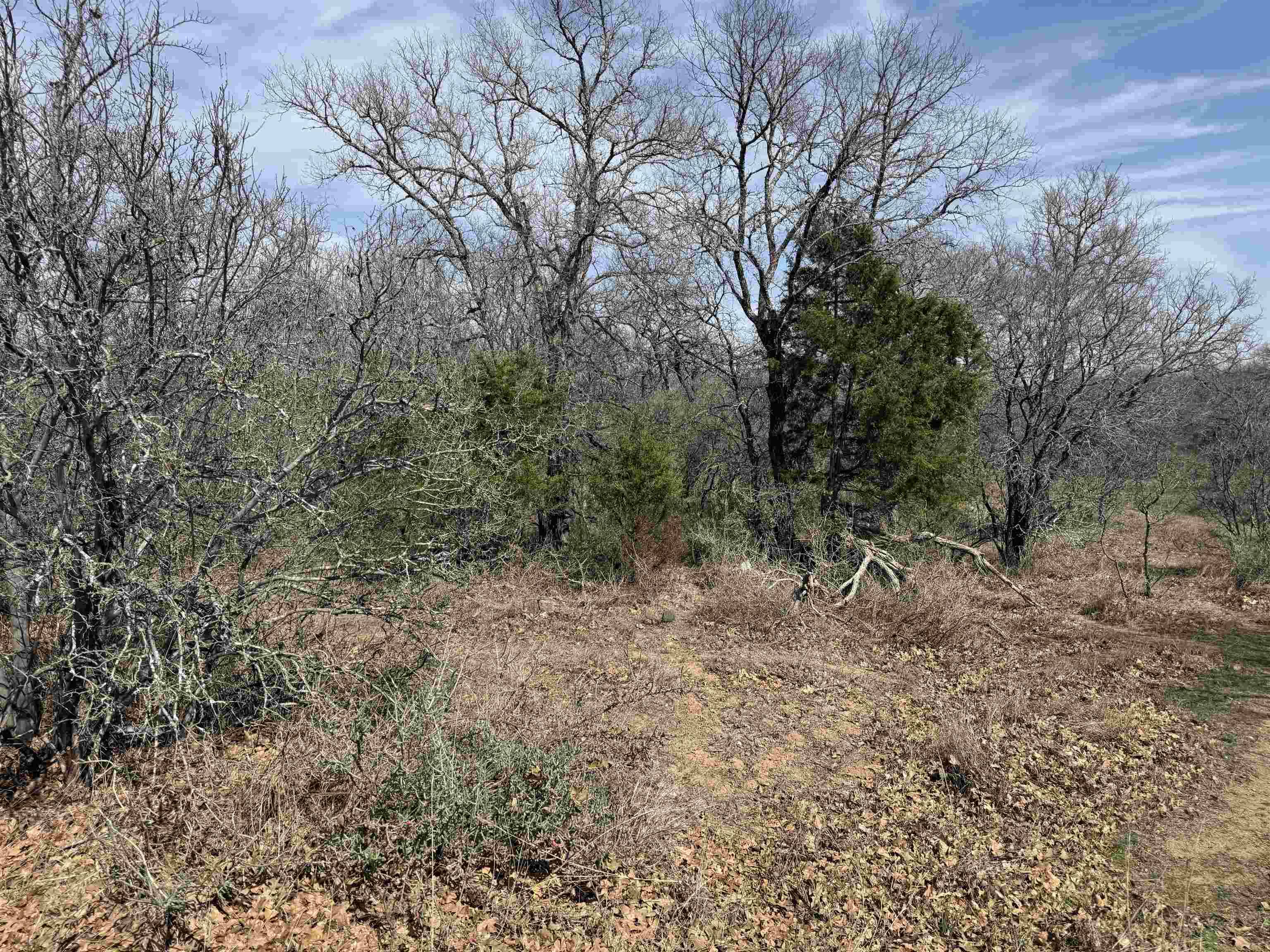 Lot 283-289 Aspermont DR, Kingsland, TX 78639