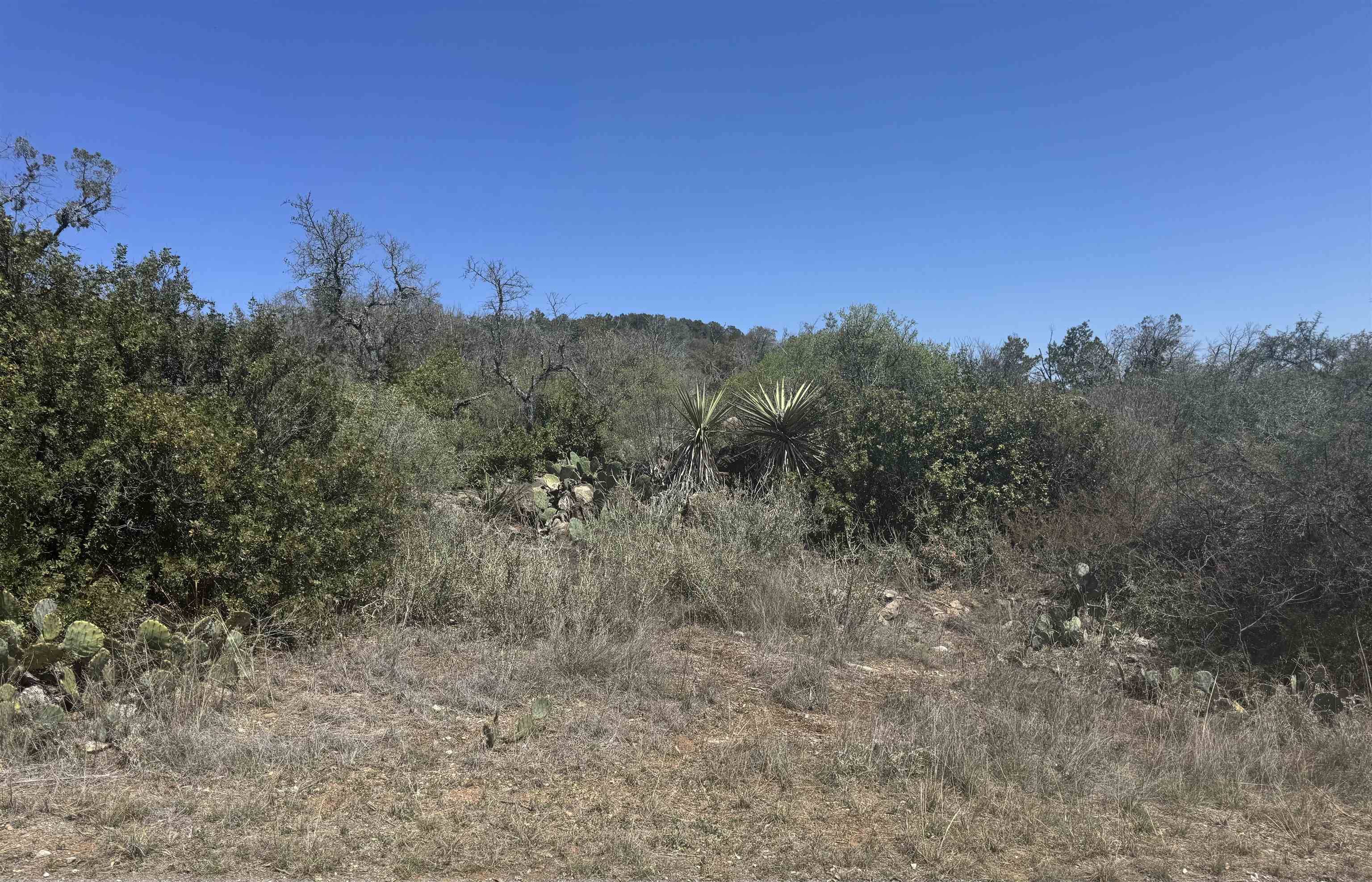 Lot 56 War Bonnet RDG, Kingsland, TX 78639